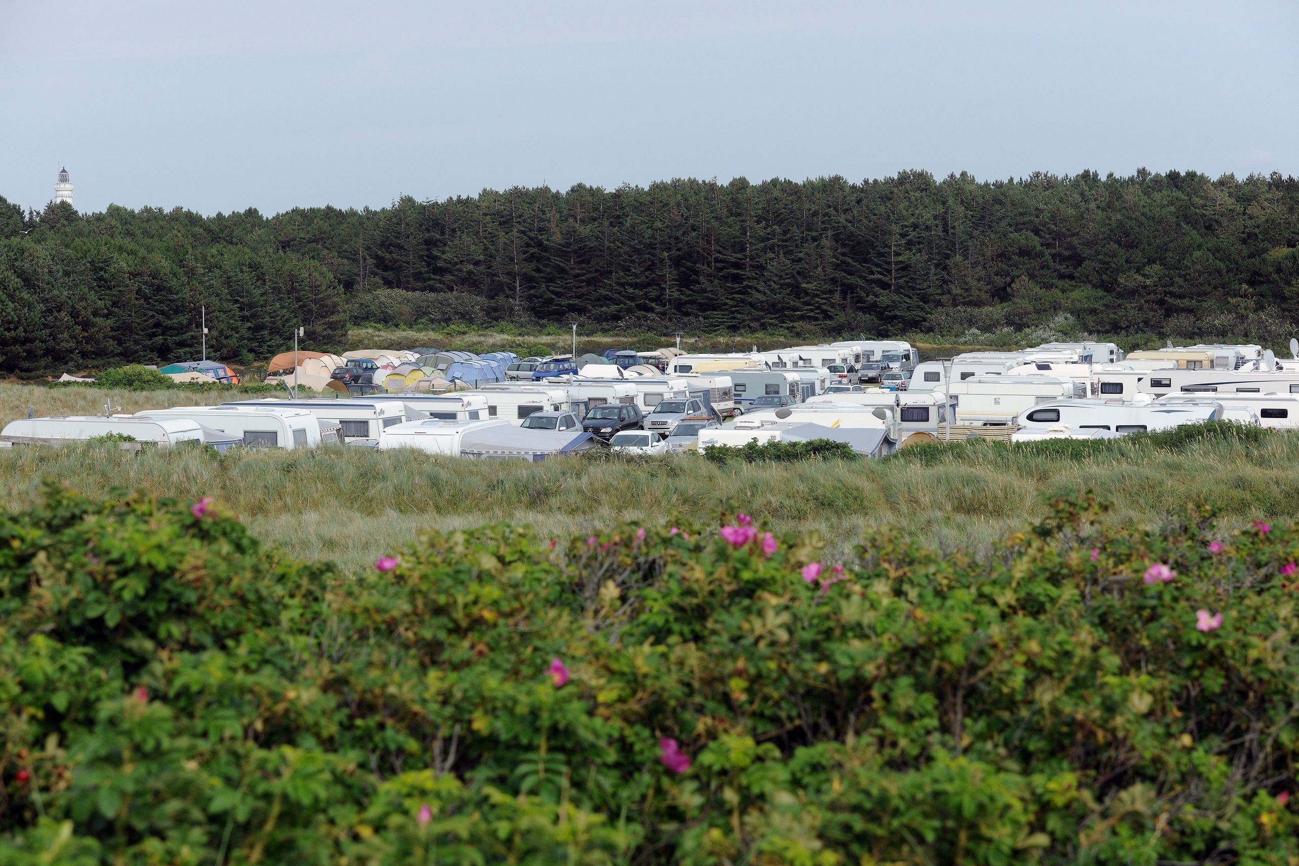 Überblick über den Wenningstedter Campingplatz, der mitten im Grünen liegt