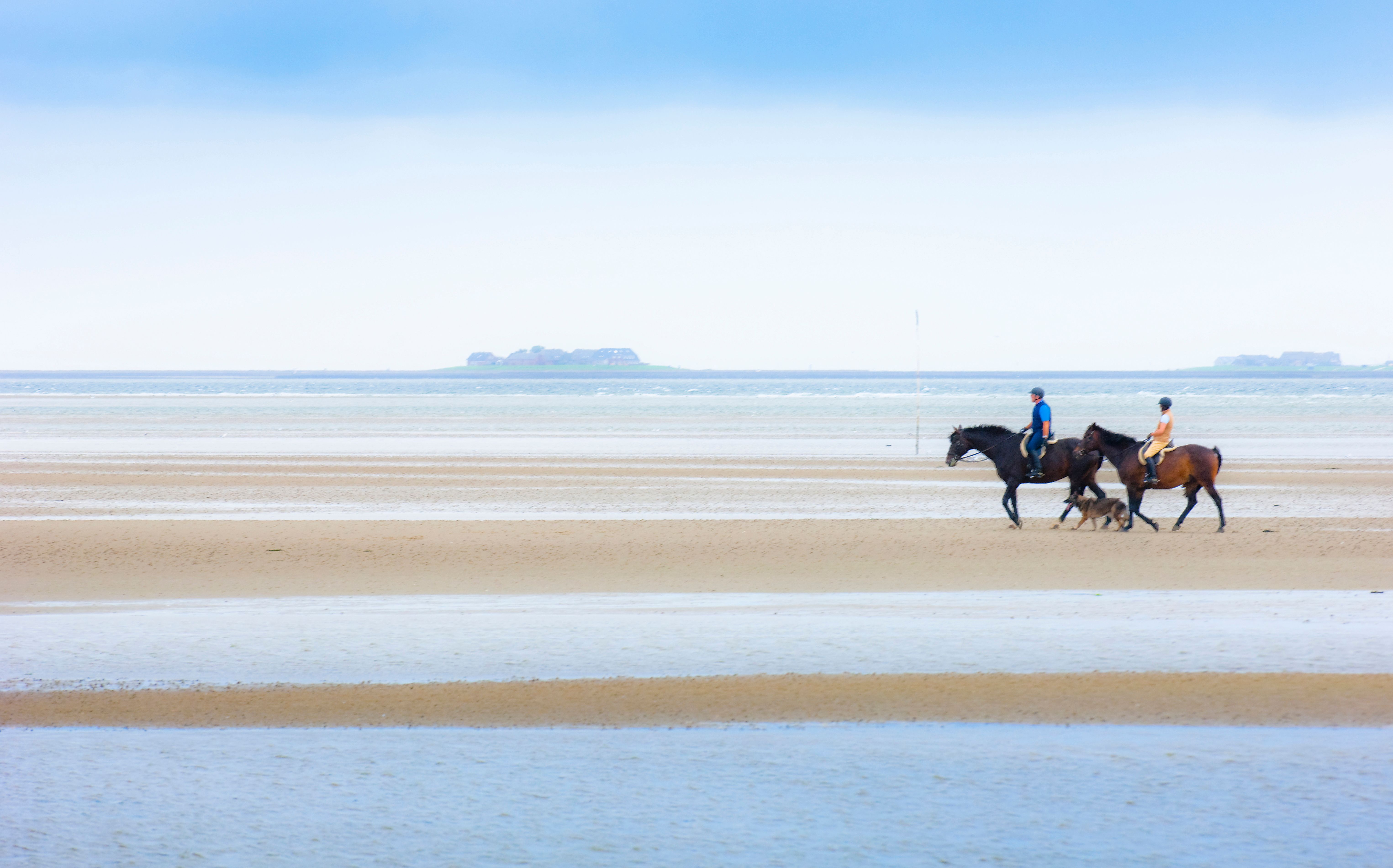 Zwei Reiter reiten durch das Wattenmeer vor Föhr