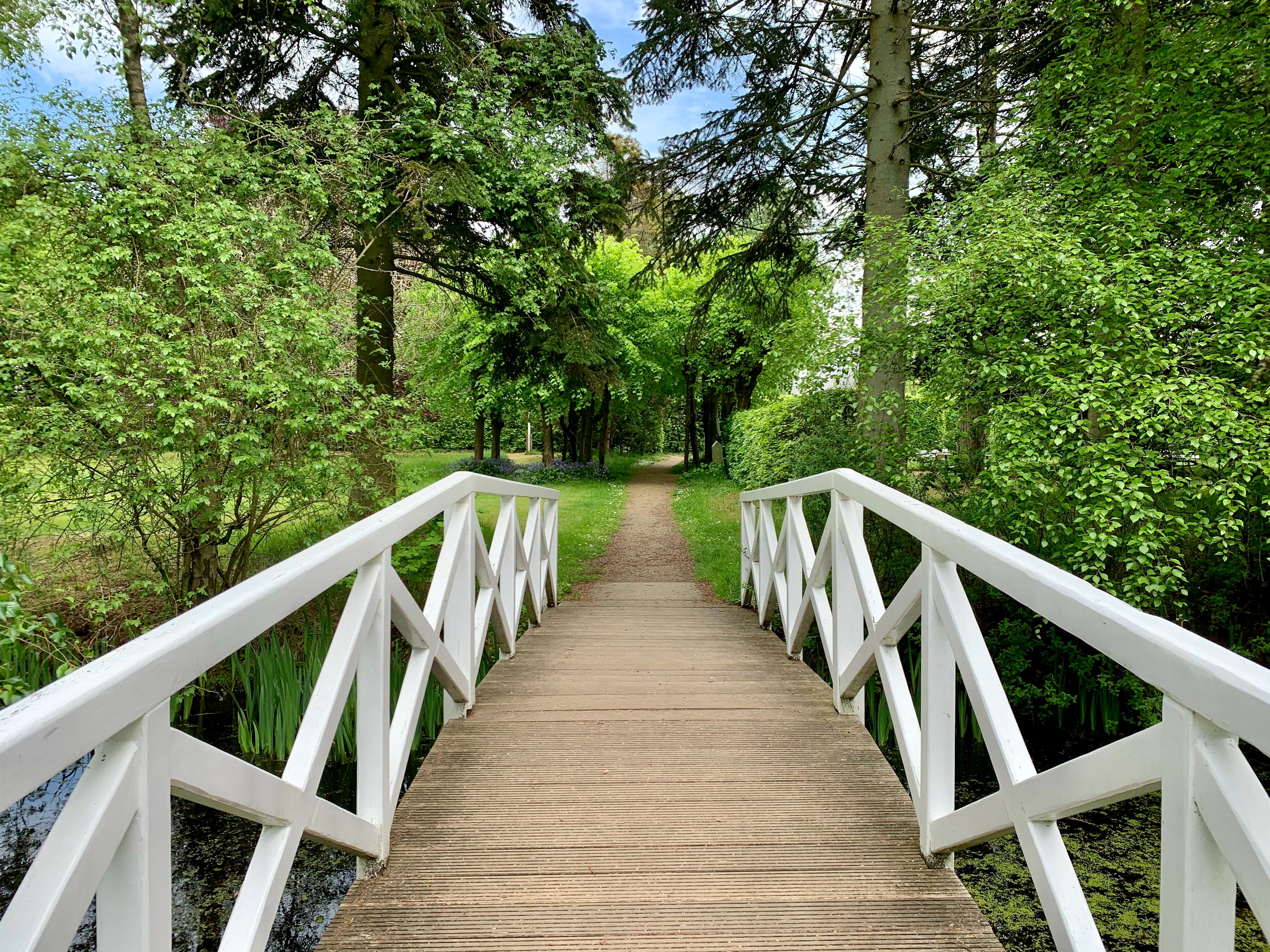 Blick in den grünen Hochdorfer Garten von Tating