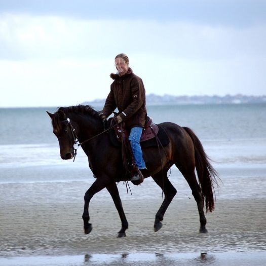 Reiten im Watt vor der Insel Föhr in der Nordsee