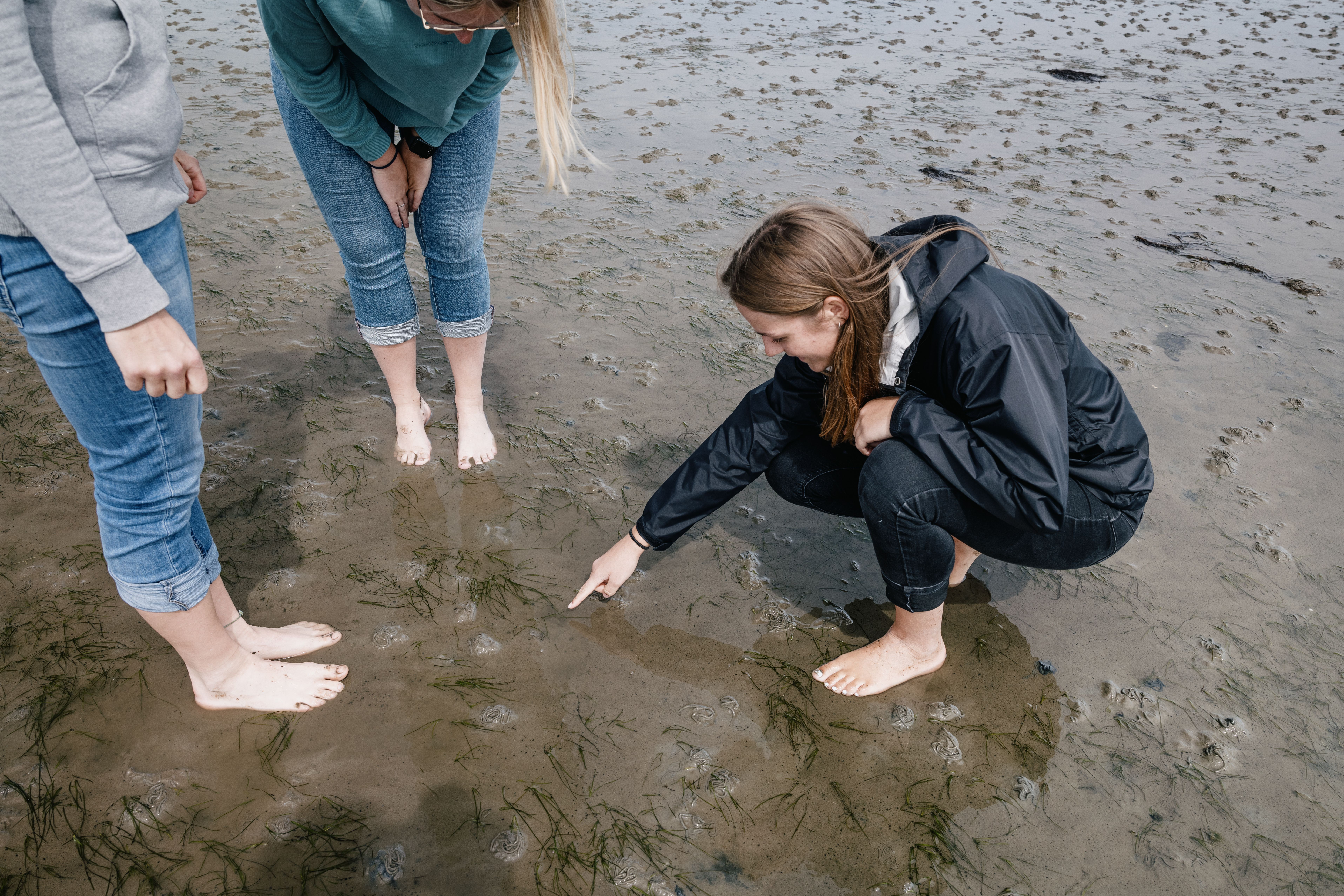 Eine Teilnehmerin einer Wattwanderergruppe hockt auf dem Wattboden und zeigt anderen einen Wattwurm - Foto: Nordseeküste Nordfriesland Markus Rohrbacher