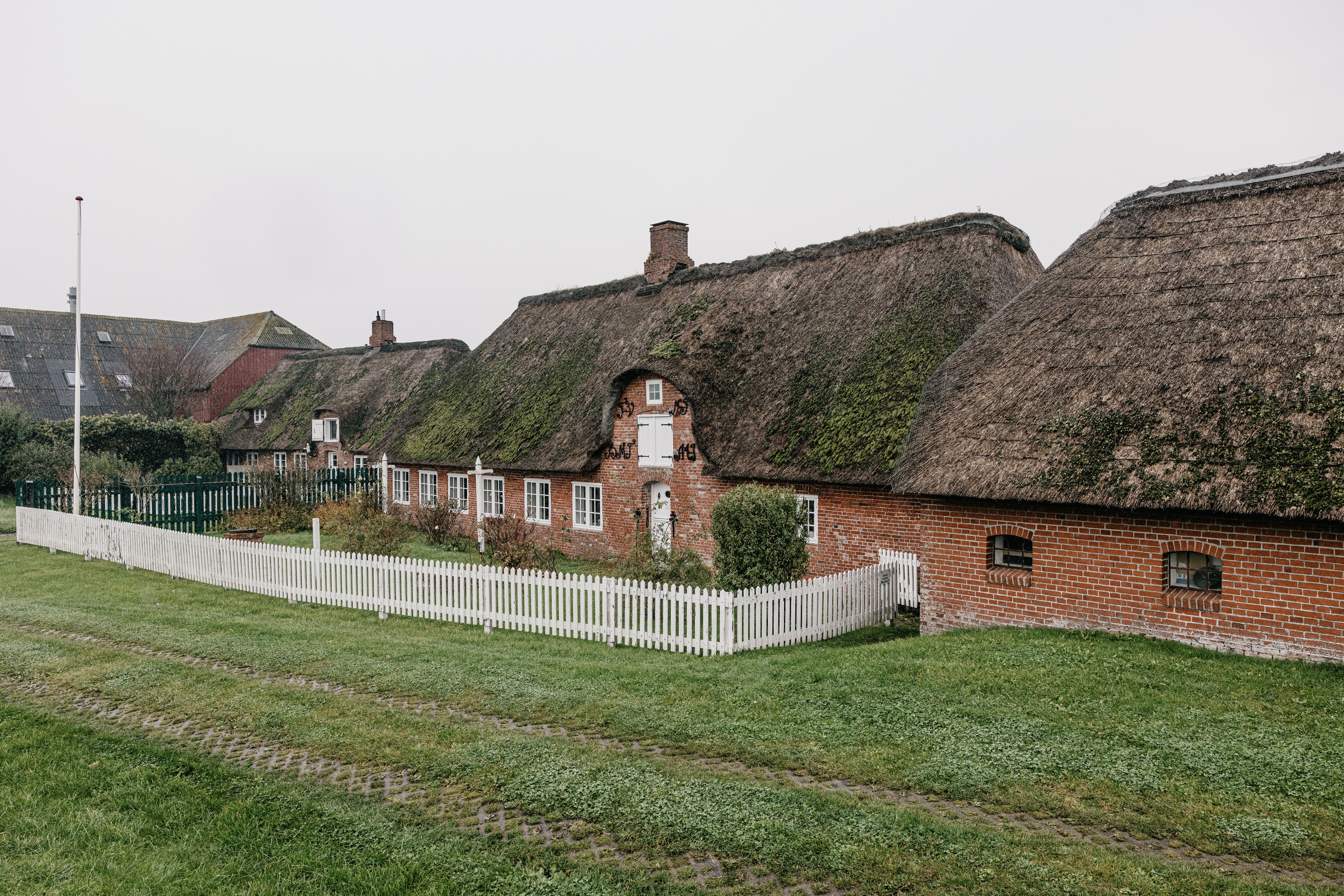 Mehrere Reetdachhäuser stehen auf Hallig Langeneß aneinander gereiht