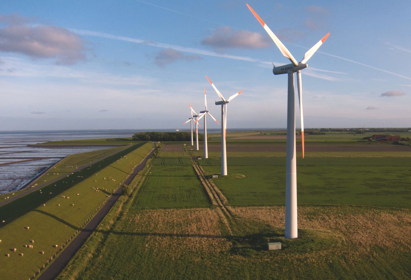 Windräder am Deich auf der Insel Pellworm