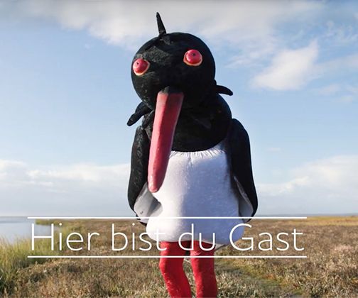 Hier bist du Gast - Benimmvideos