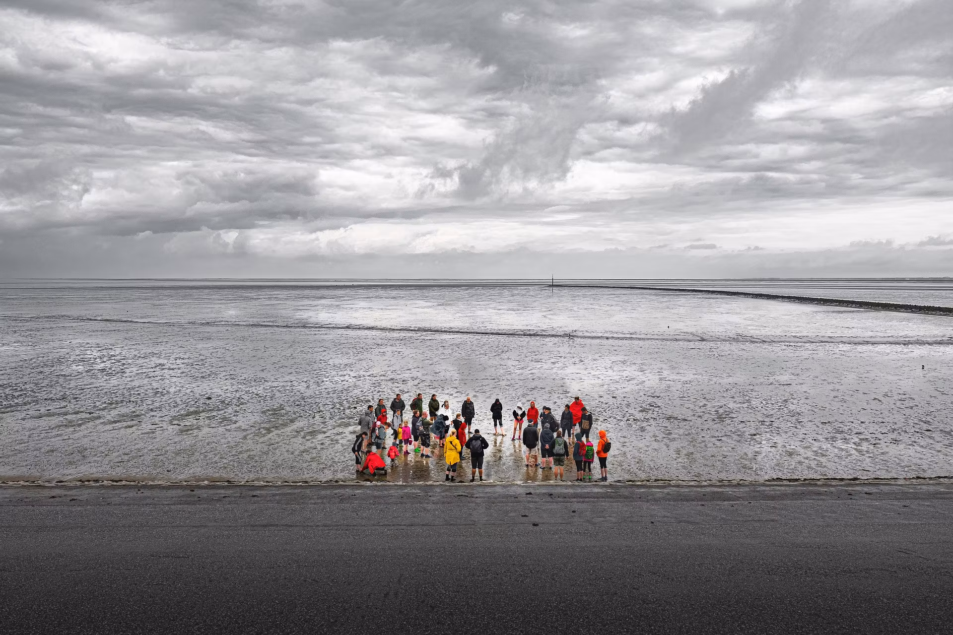 Lerne das Watt kennen