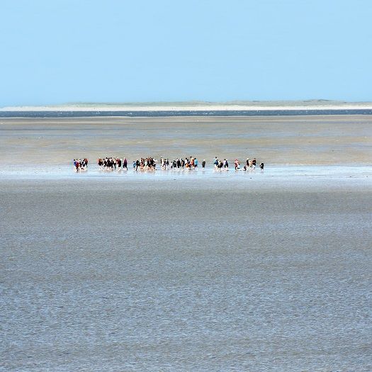 Wattwanderung von Föhr nach Amrum