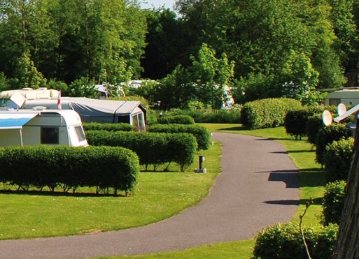 Blick über die grünen Stellplätze für Wohnwagen und Zelte auf dem Comfort-Camp Eider