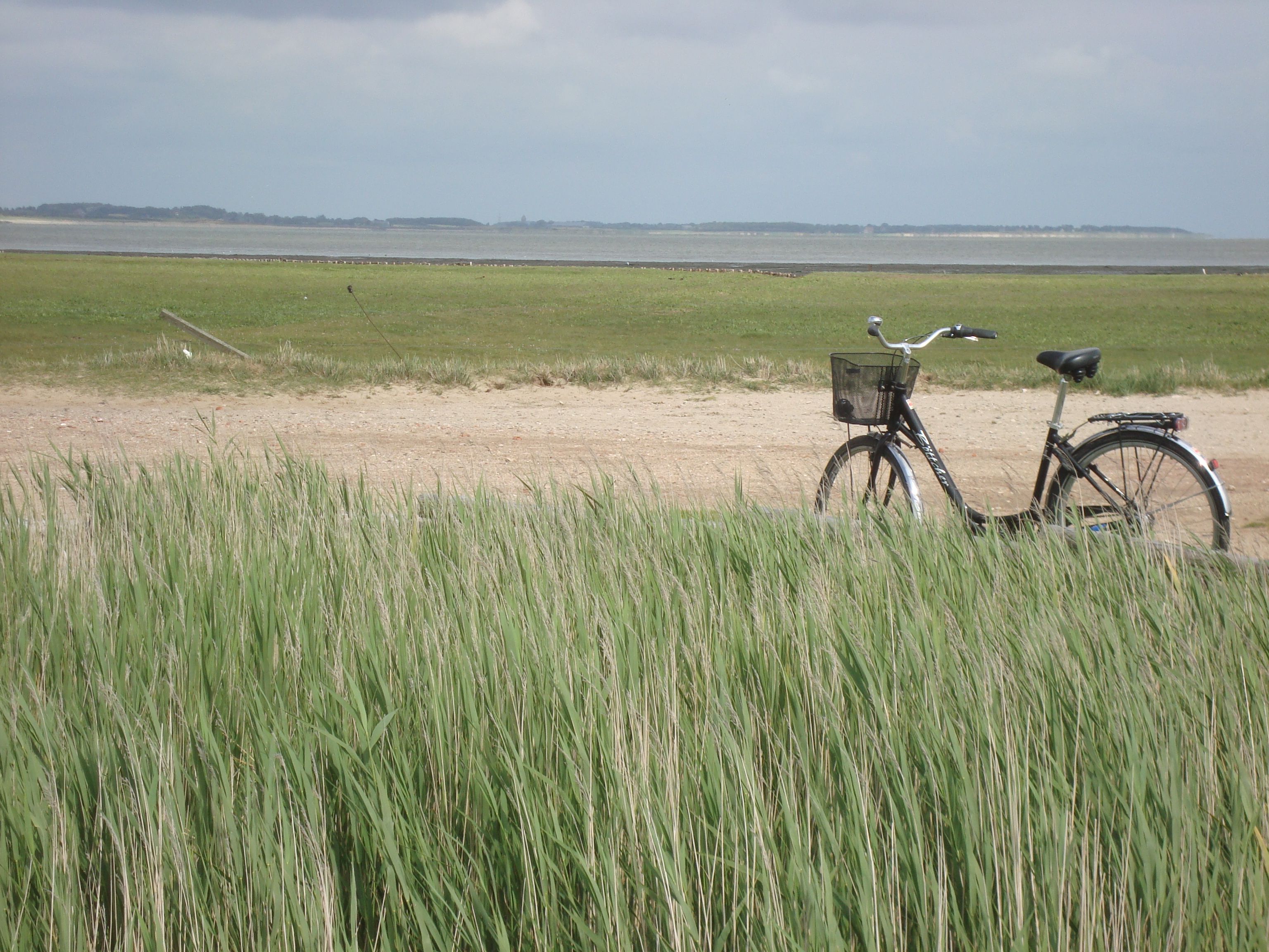 Ein Fahrrad steht bei einer Düne auf Amrum