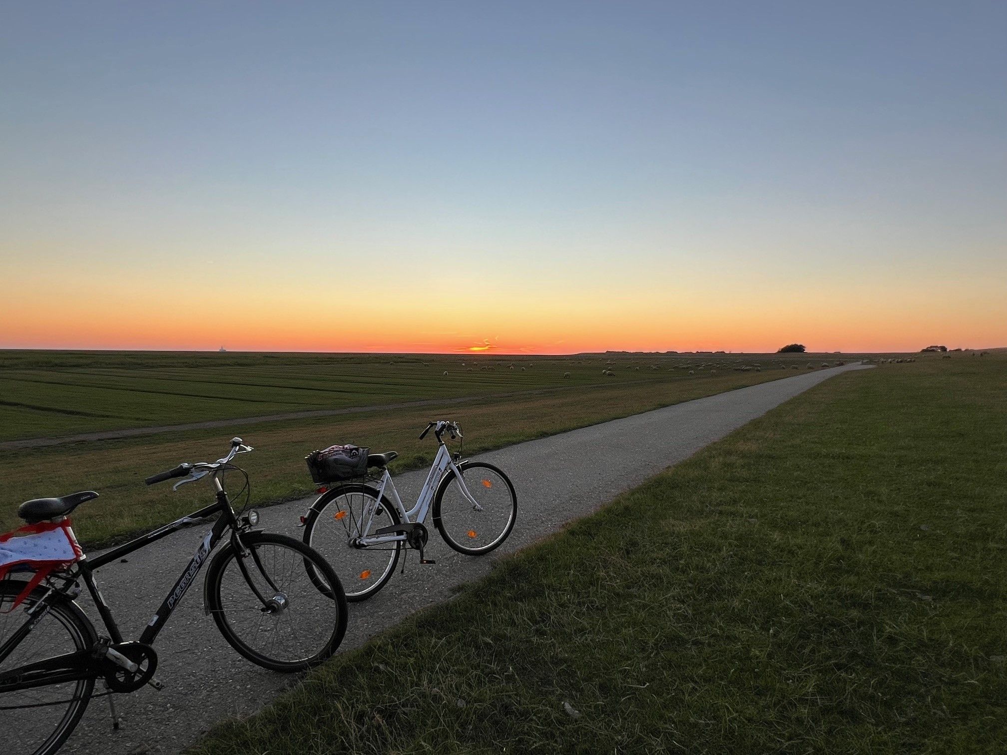 Zwei Fahrräder stehen im Sonnenuntergang am Deich in Friedrichskoog.