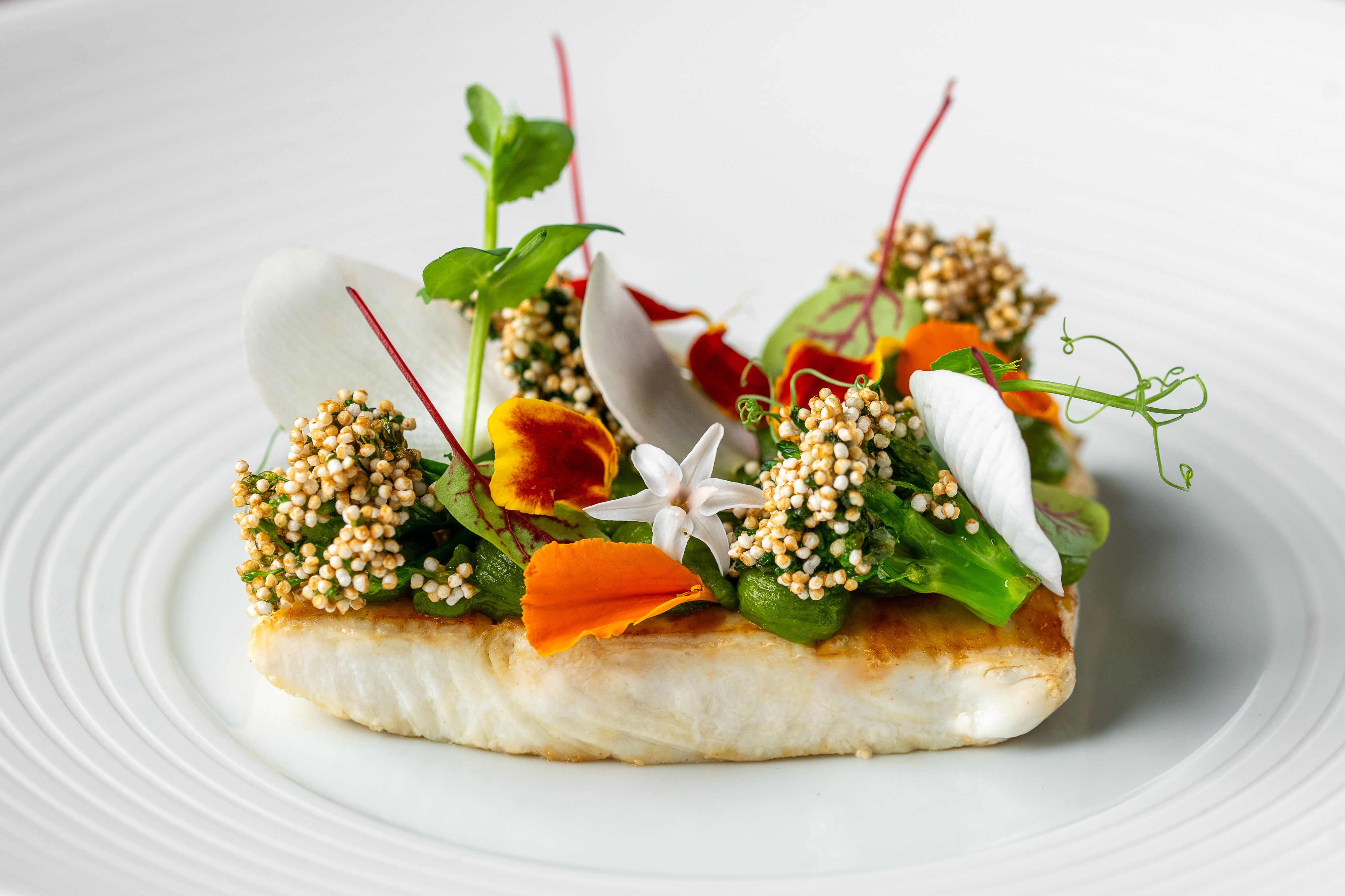 Auf einem weißen Teller präsentiert sich ein wunderschön mit weißgrünem Brokolie und Blüten dekoriertes Stück Fischfilet.