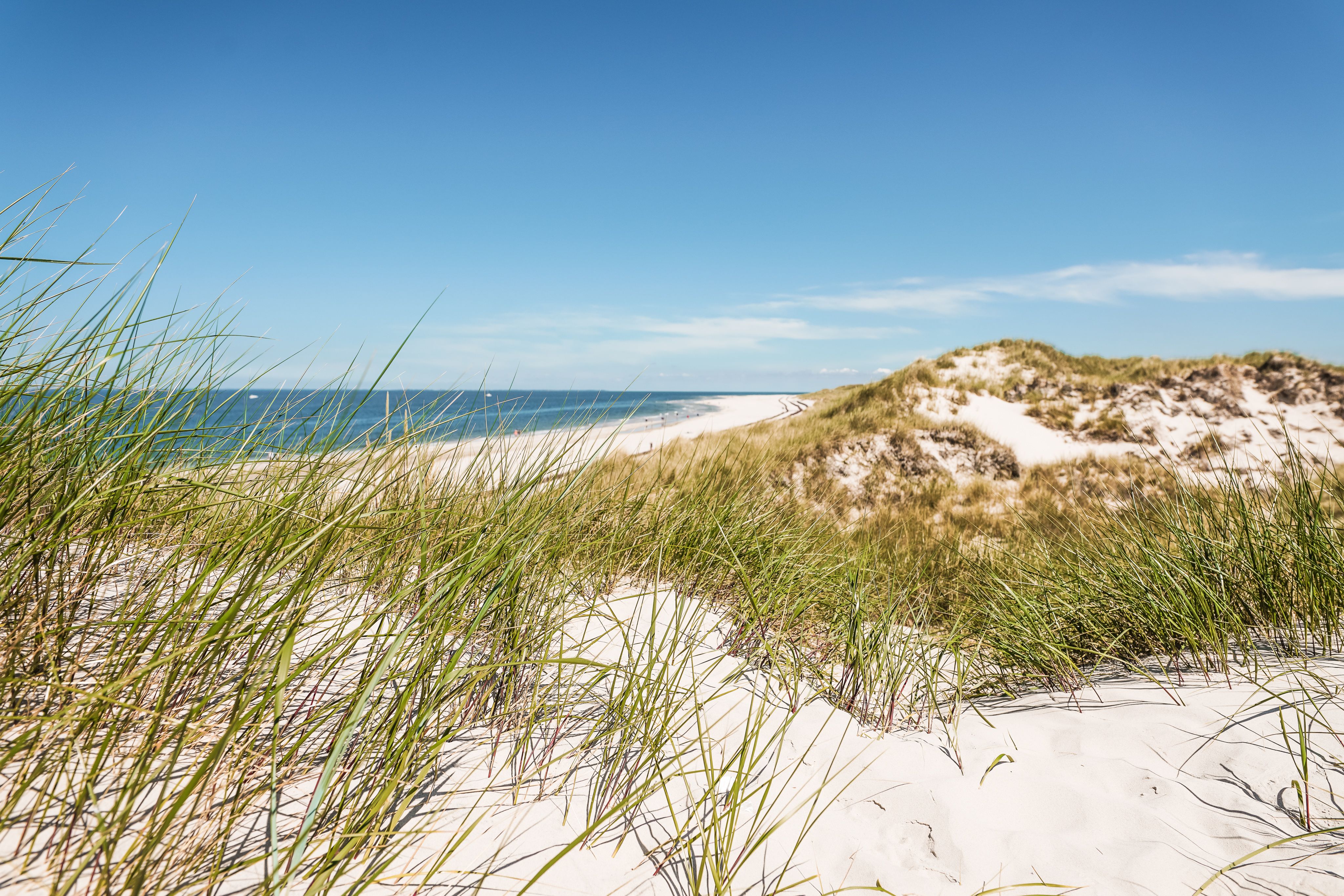 Blick auf die Dünen der Amrumer Odde