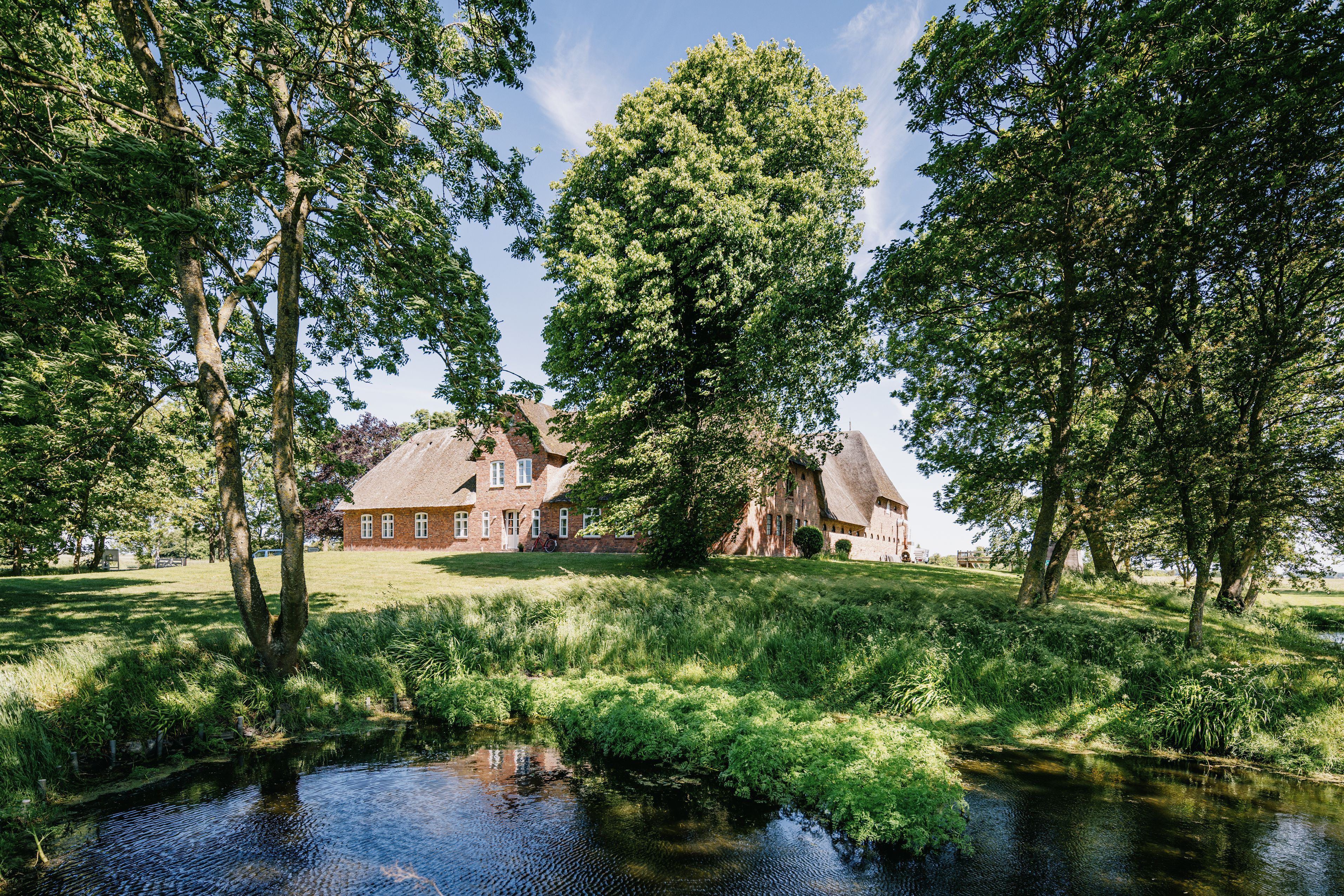 Der alte mit Reet gedeckte Charlottenhof in Klanxbüll in der Wiedingharde, umgeben von hohen Kastanien und Eichen. Foto: Nordseeküste Nordfriesland | Markus Rohrbacher
