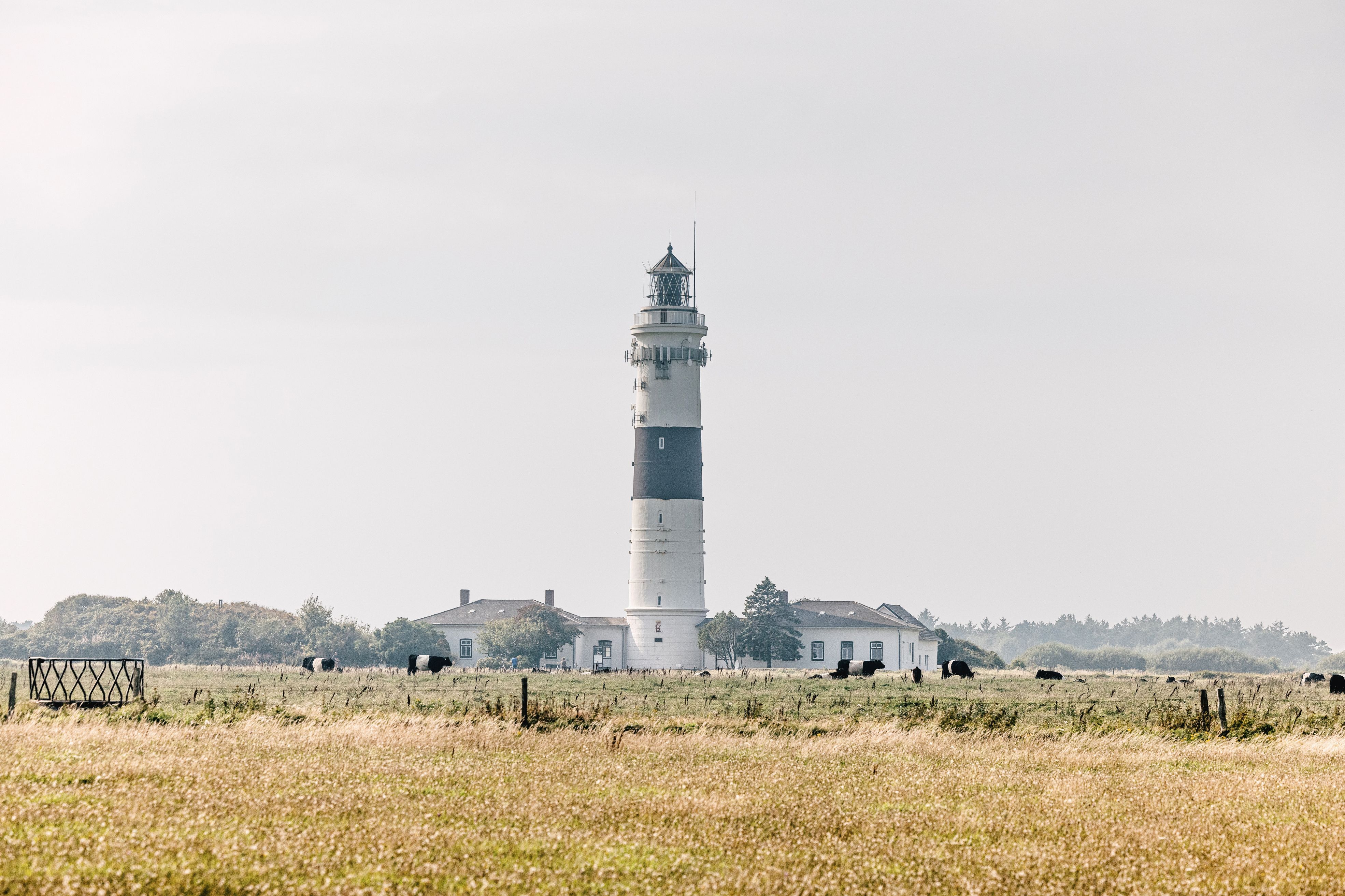 Der "Lange Christian", der markante Leuchtturm in Kampen auf Sylt. Foto: Nordseeküste Nordfriesland Markus Rohrbacher