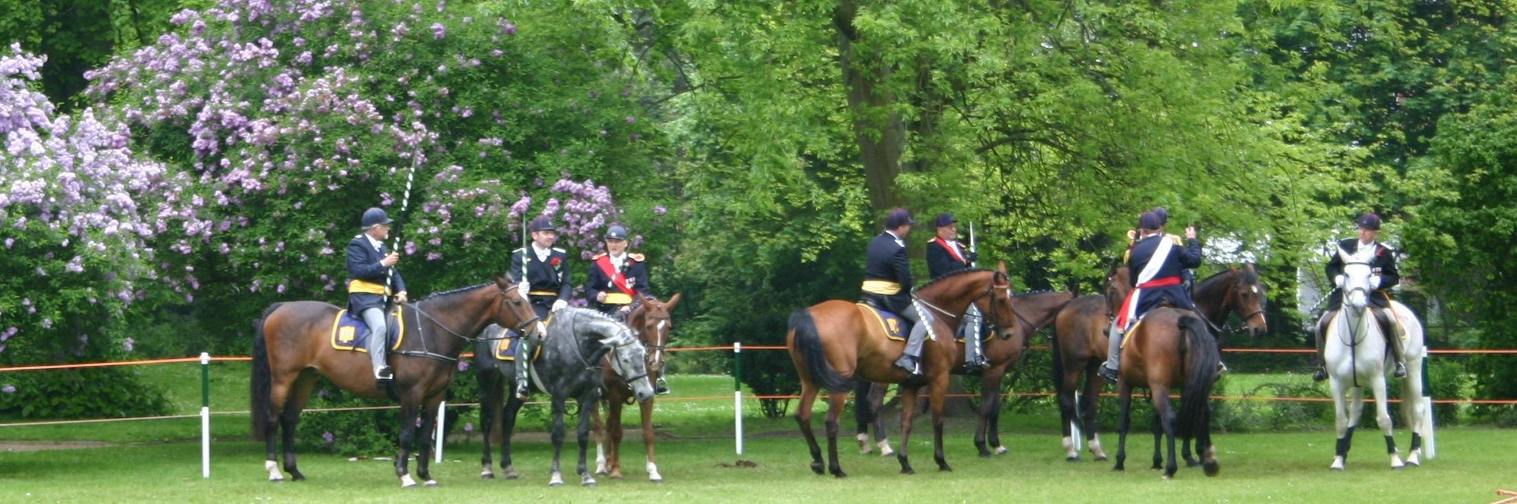 Das traditionelle Ringreiten in Husum