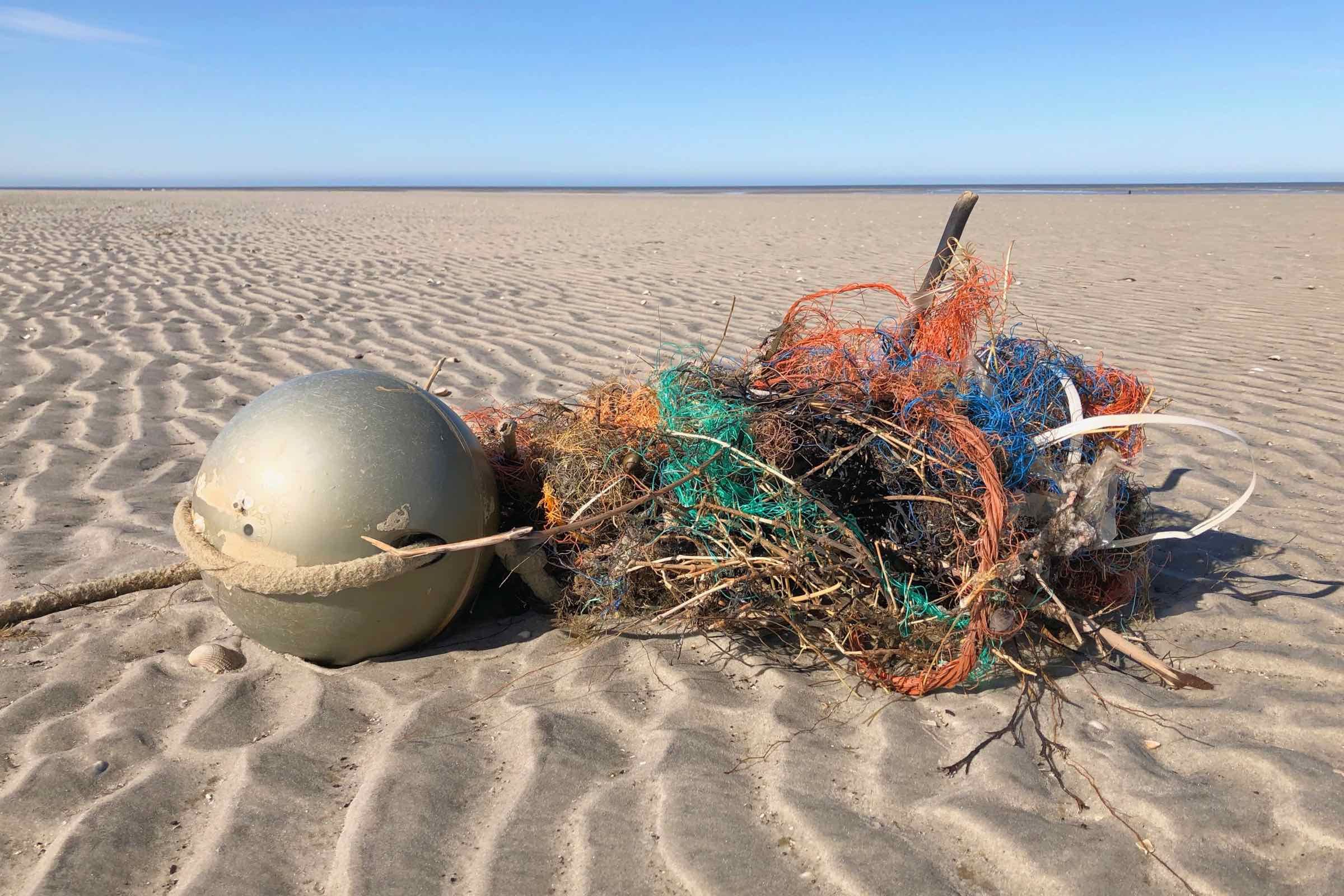 Meeresgrund trifft Horizont! Durch das Watt wandern wir hinaus bis zur Sandbank vor Westerhever. In Schlick und Sand erkunden wir das interessante Leben im Weltnaturerbe Wattenmeer.