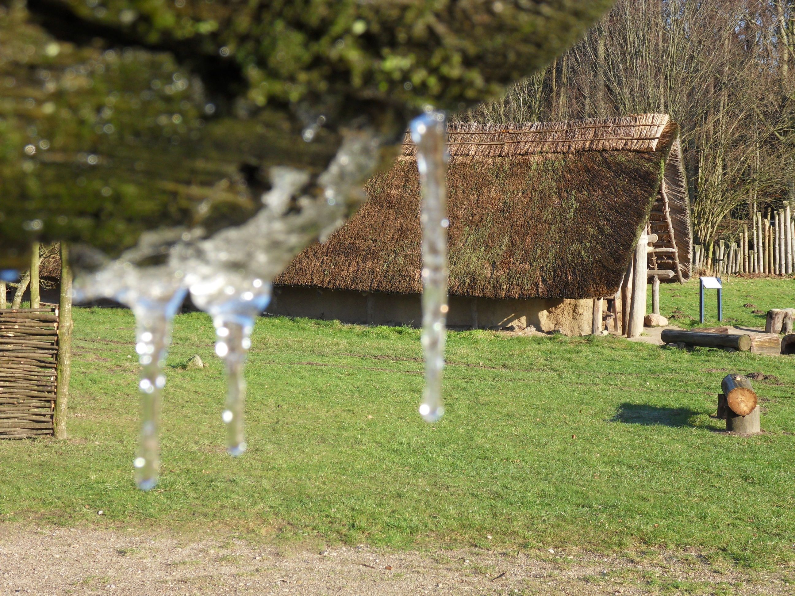 Zusehen ist in der Nähe ein Steinzeithaus auf einer Freifläche in einem Laubwald.
