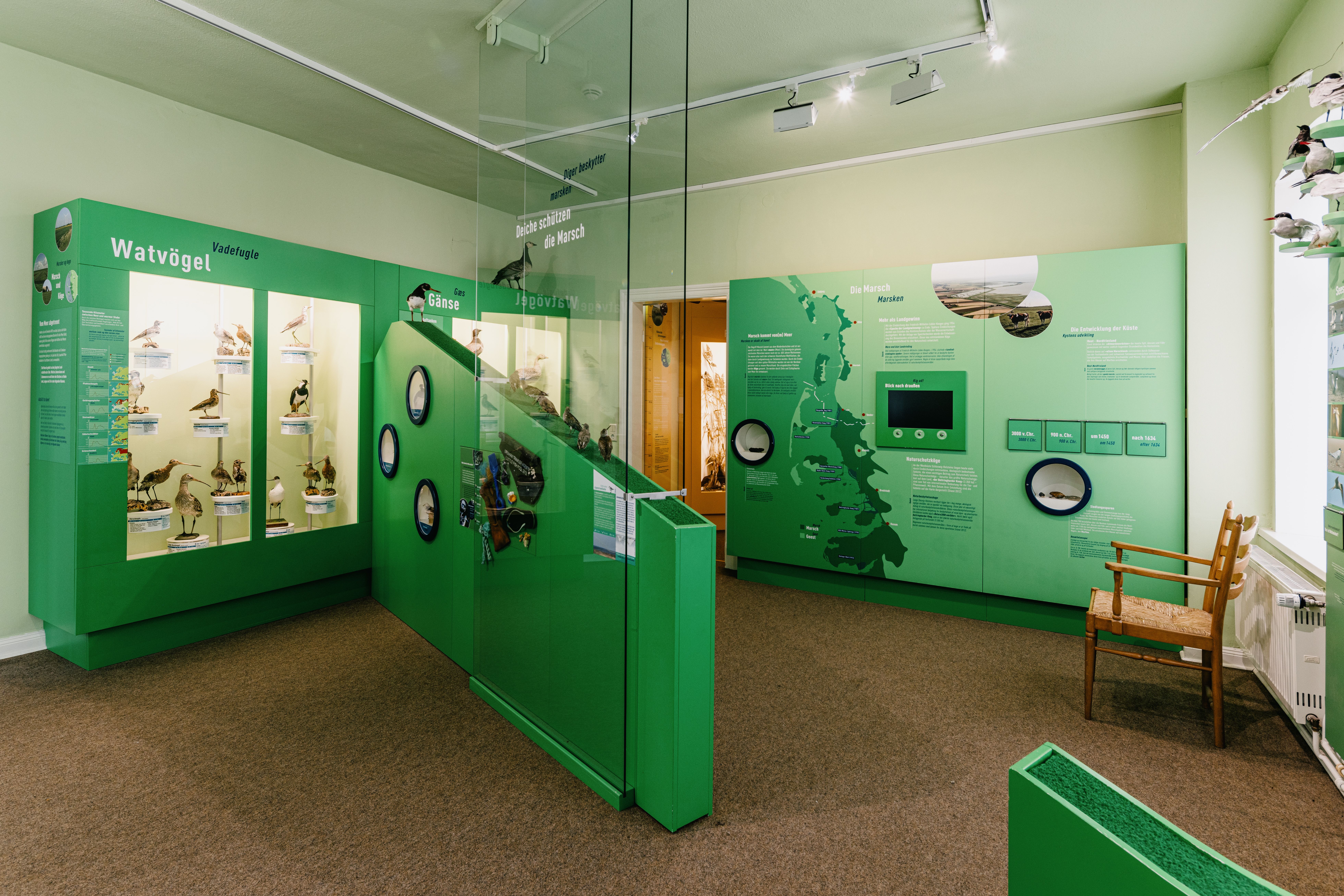 Ausstellungsraum mit vielen Möglichkeiten für Kinder, Sachen zu entdecken und zu erforschen im Naturkundemuseum