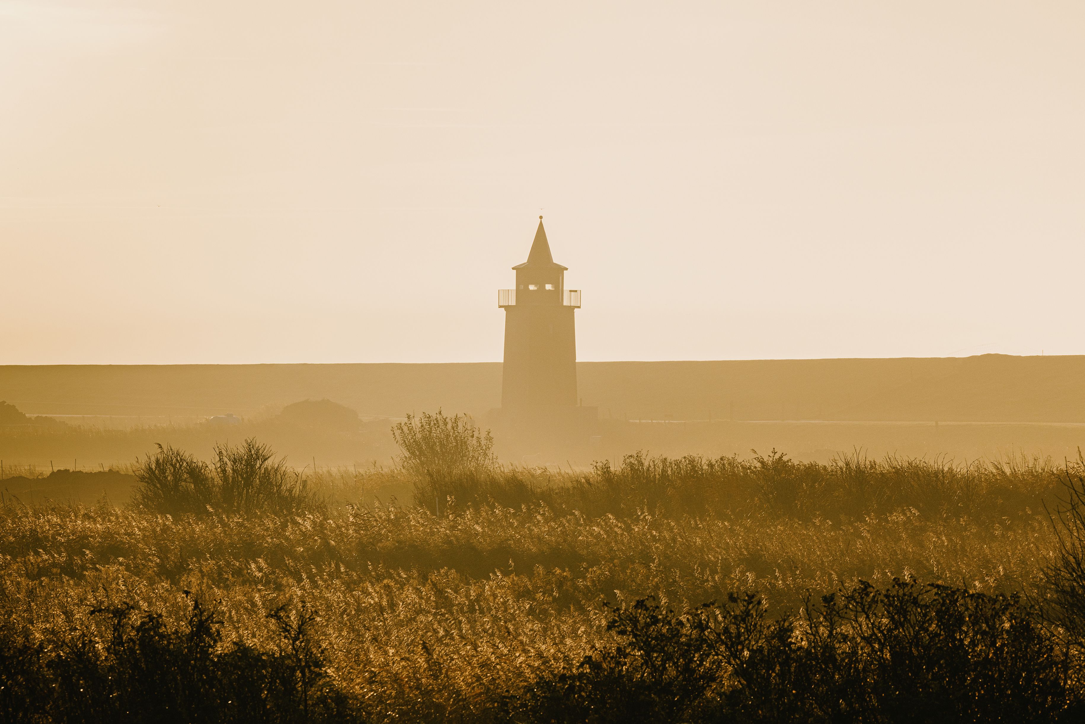 Der alte Dagebüller Leuchtturm im goldenen Morgendunst – Foto: Nordseeküste Nordfriesland_Markus Rohrbacher