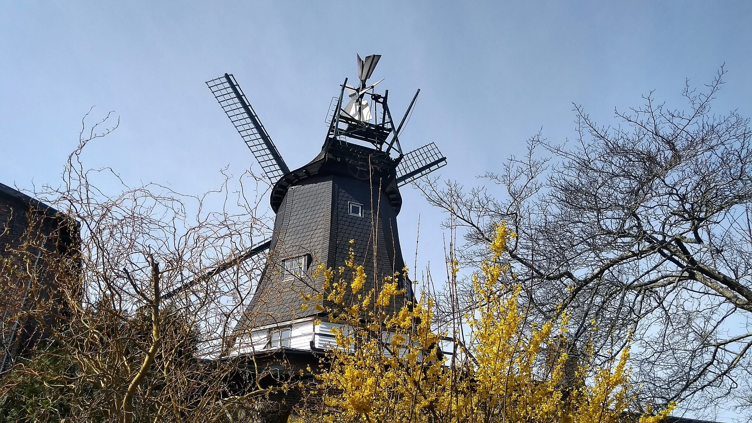 Südermühle Meldorf