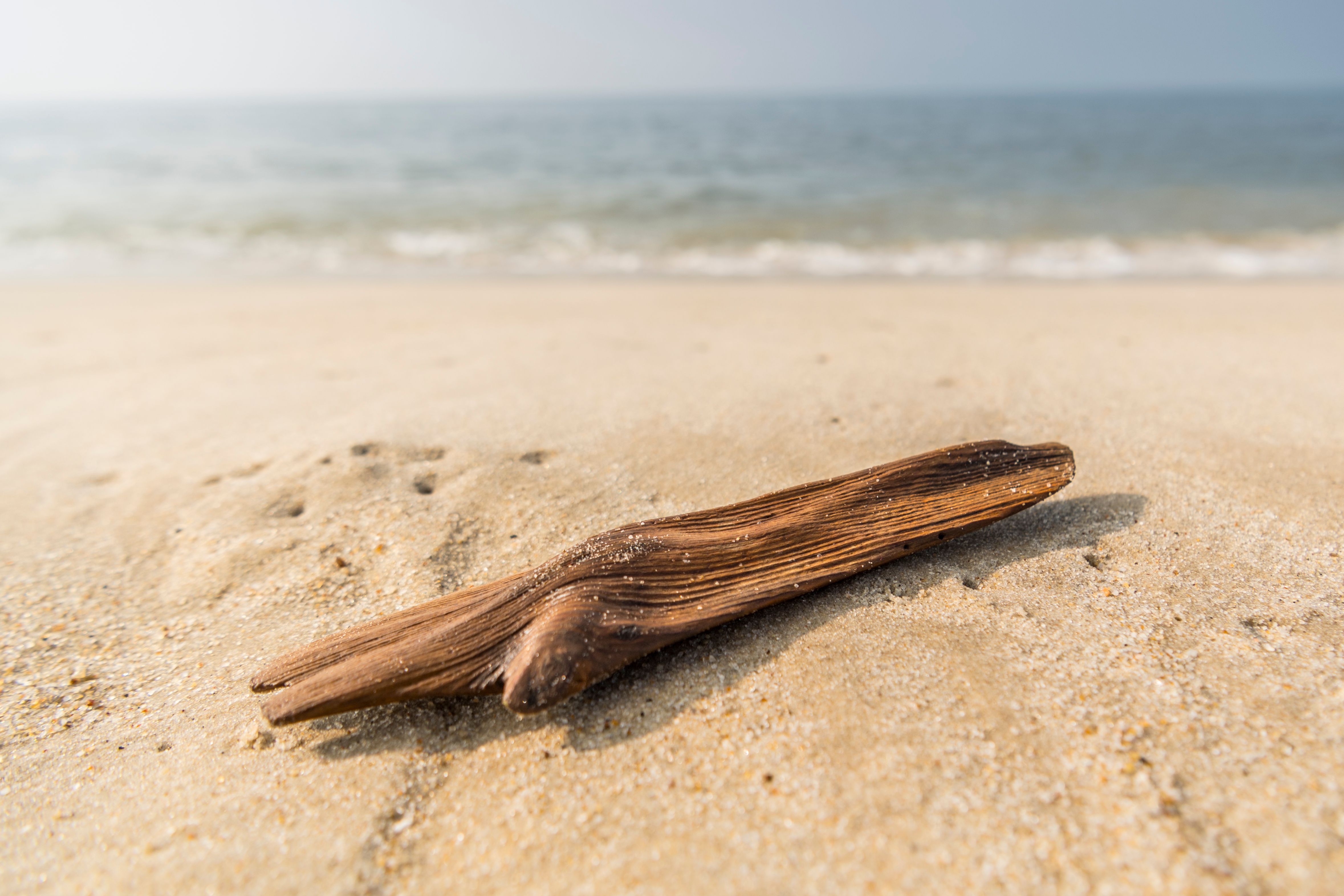 Ein Seestern auf dem Sand, im Hintergrund das Meer