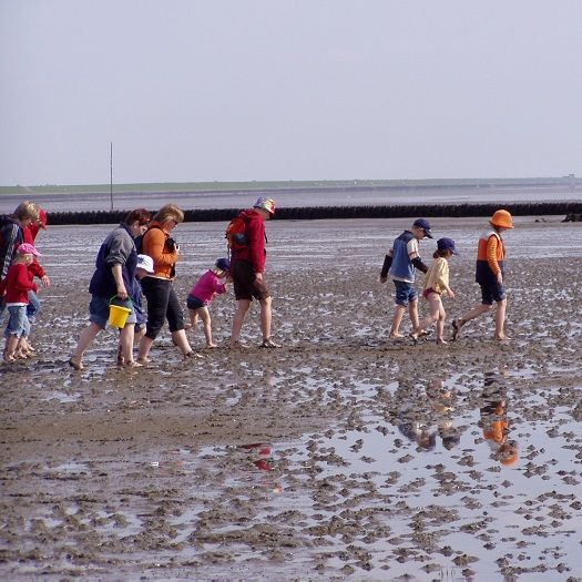 Wattwanderung an der Nordsee