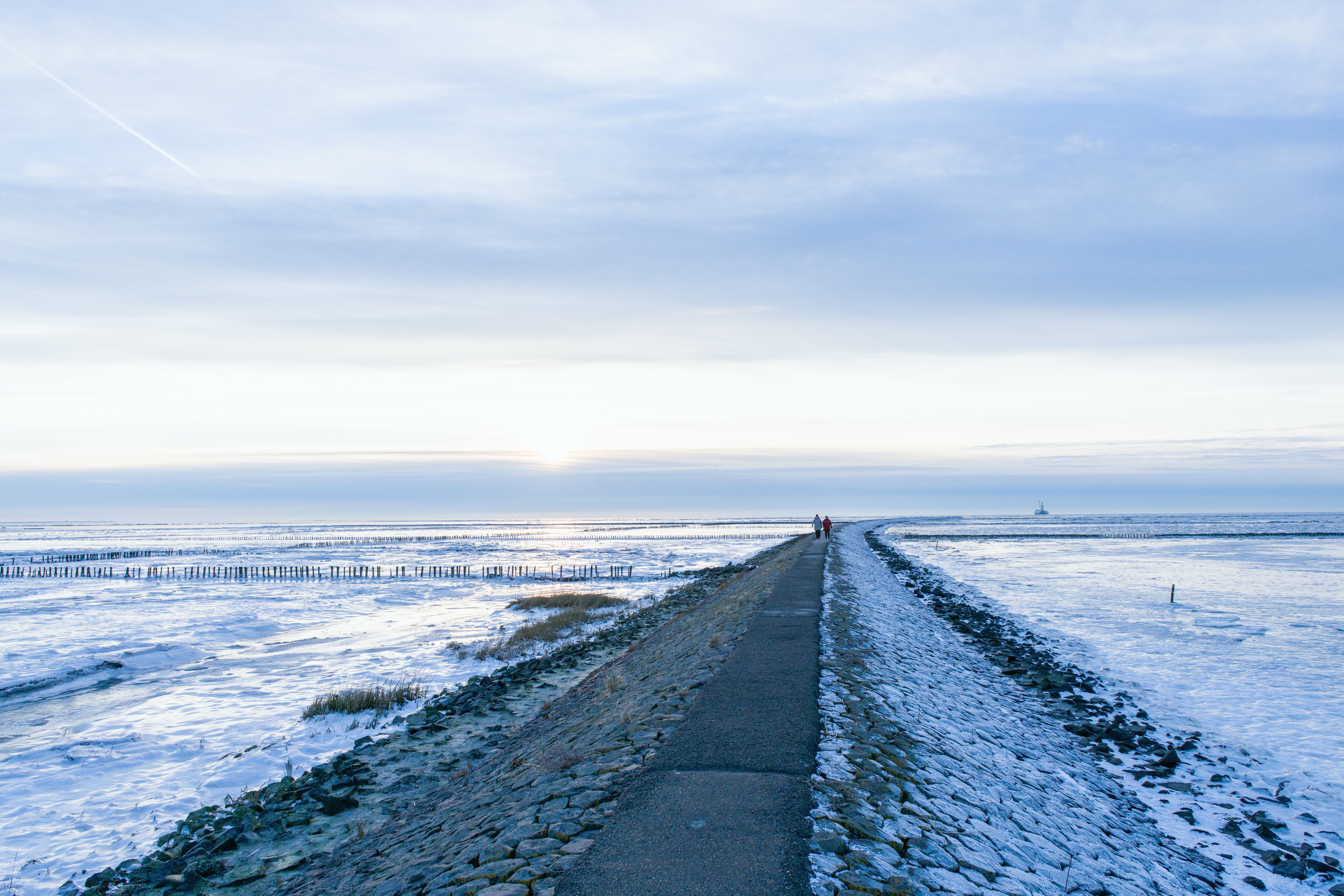 Der Blick geht über den winterlich vom Frost gezeichneten Trieschendamm hinaus auf die untergehende Sonne über der Nordsee.