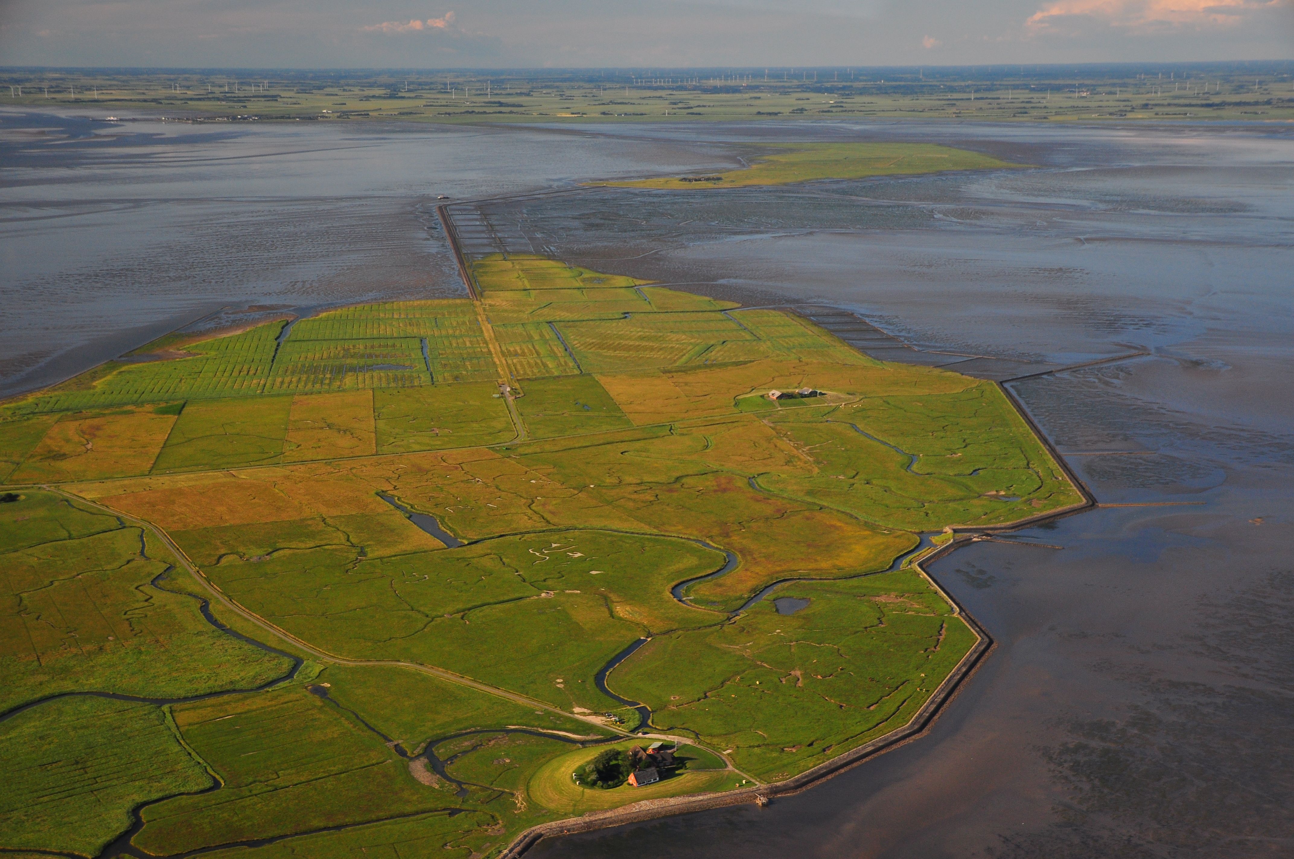 Luftaufnahme der Hallig Langeness