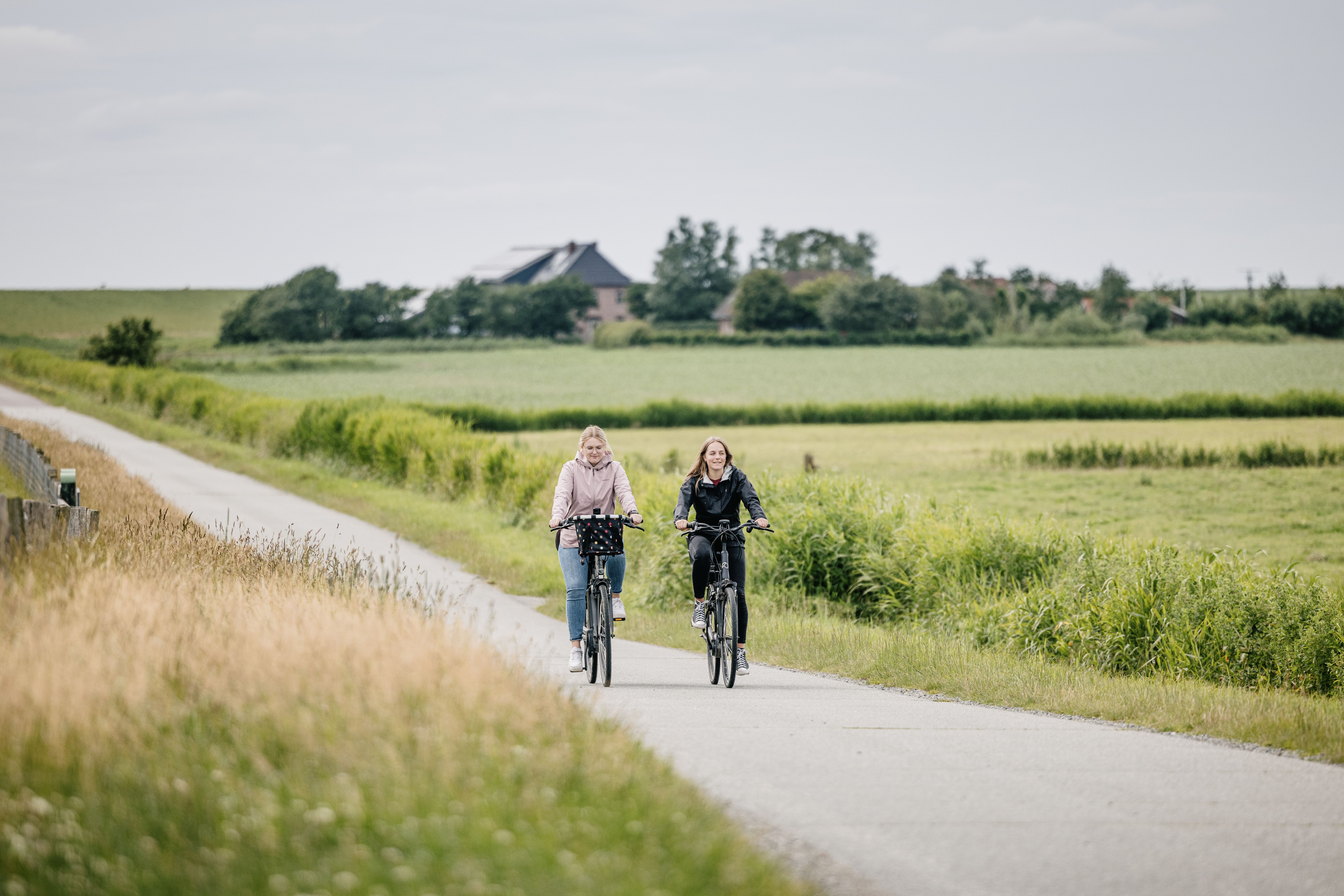 Zwei Radfahrerinnen fahren entlang des Deiches eine Radtour. foto: Nordseeküste Nordfriesland | Markus Rohrbacher