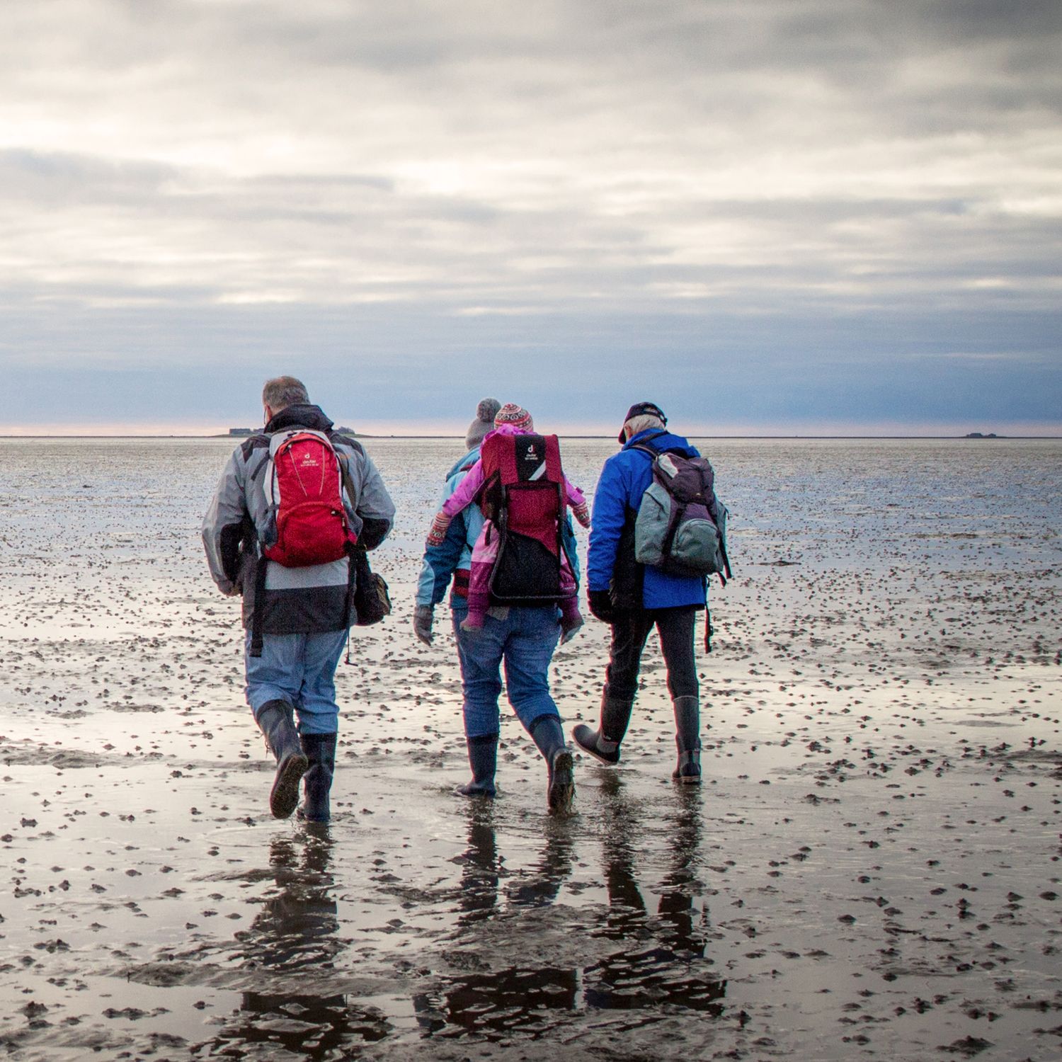 Drei Personen in wetterfester Kleidung und mit Gummistiefeln, Rucksäcken und einem Kind in einem Tragegestell, nehmen an einer geführten Wattwanderung teil. – Foto: Föhr Tourismus GmbH | Ann-Kathrin Meyerhof
