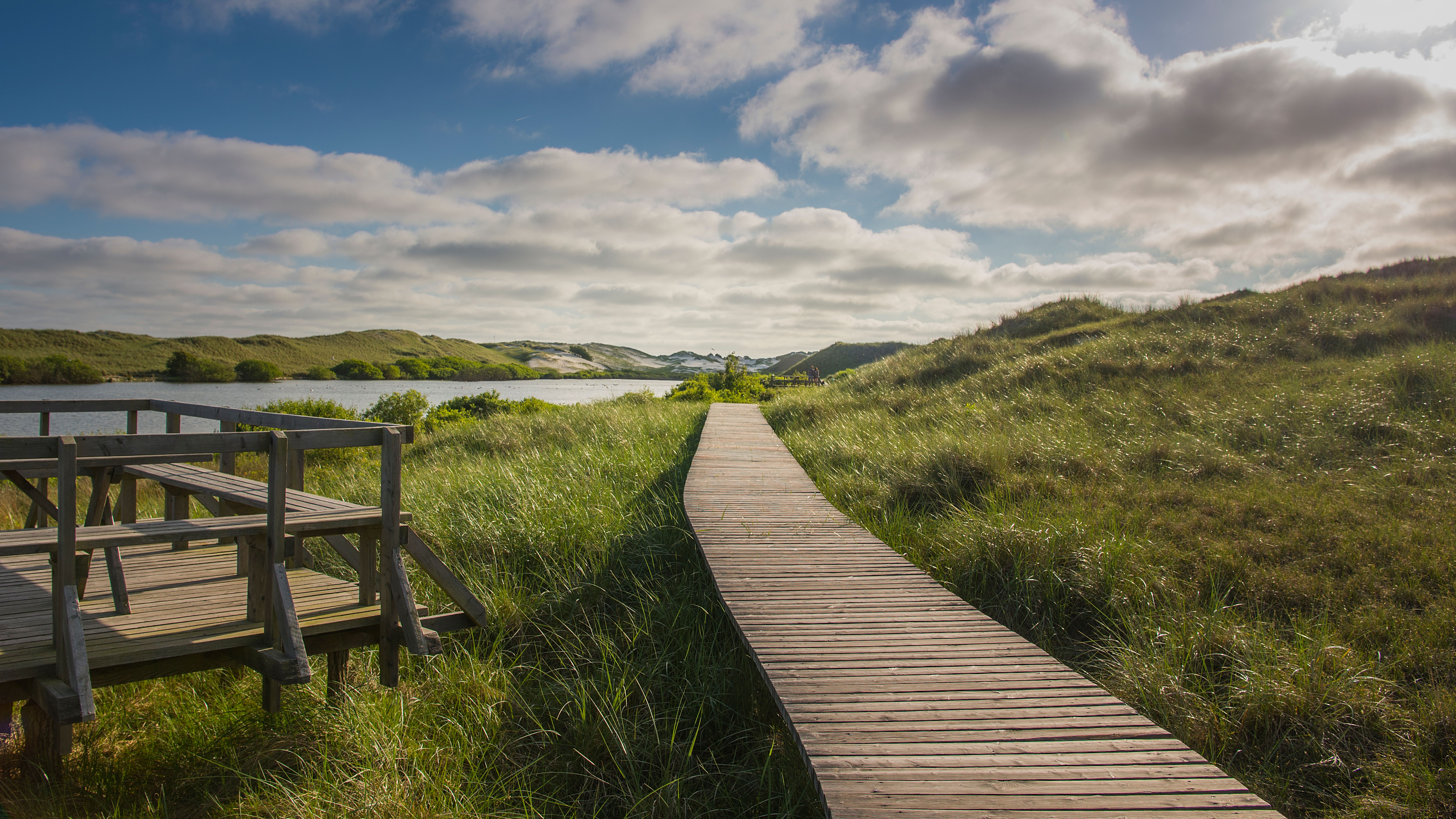 Bohlenweg auf Amrum führt durch die schöne Wiesen-Landschaft. 