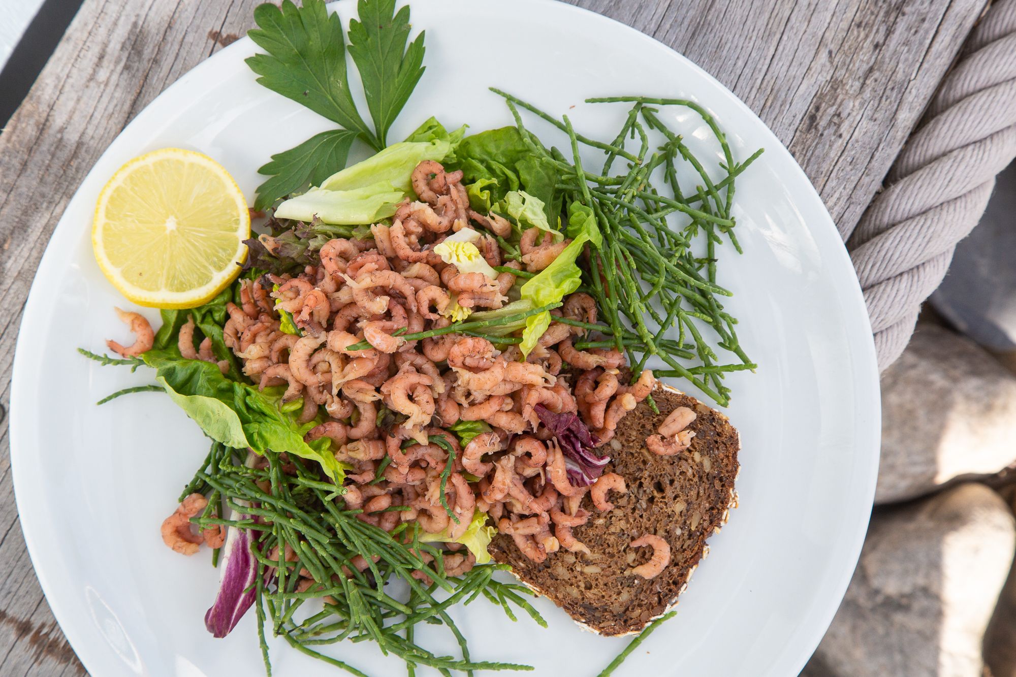 Ein tolles Nordsee Krabben Gericht mit viel Salat und Queller an Schwarzbrot. - Foto: paddel-grafik.de