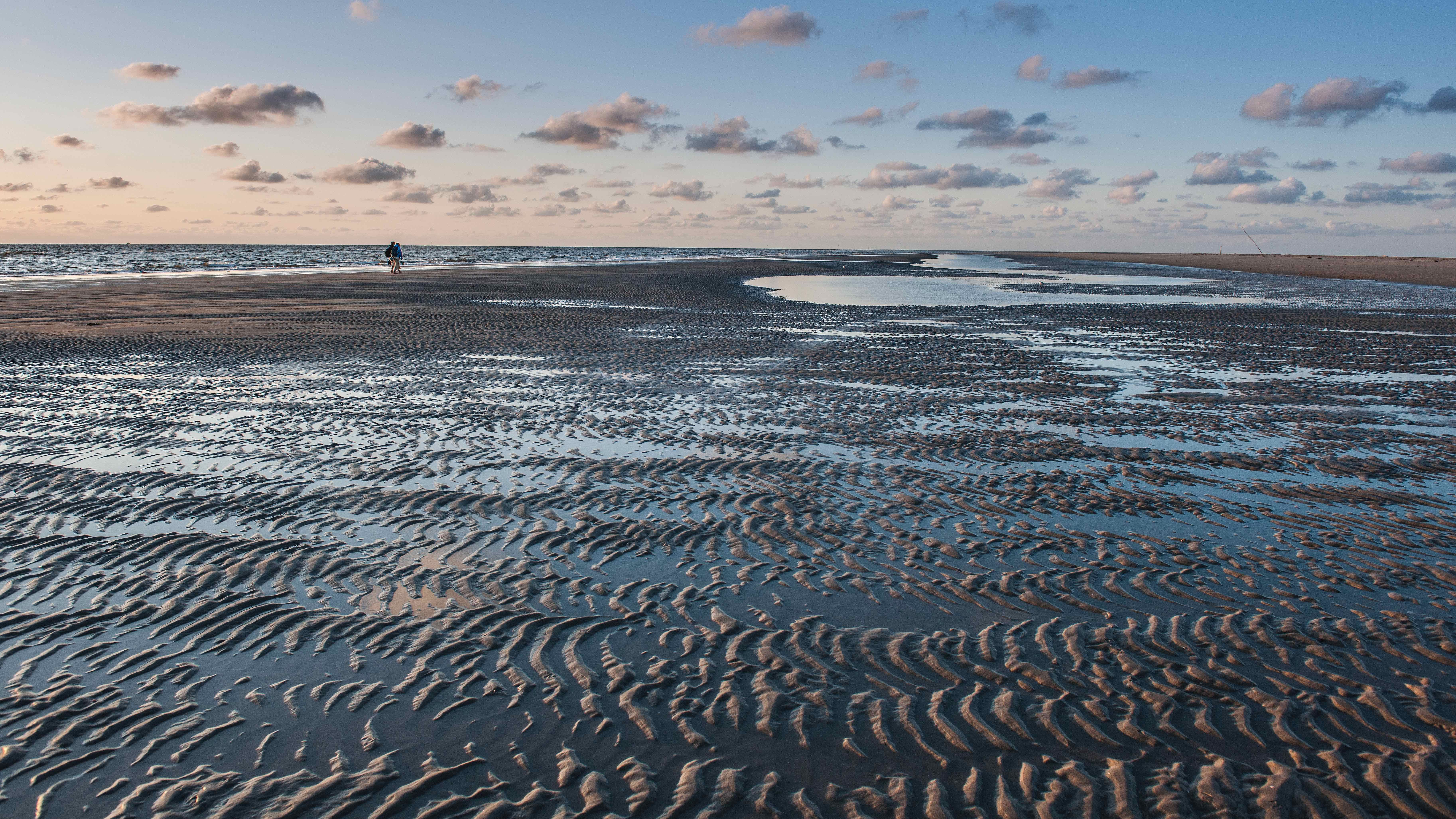 Rippenmuster im Watt vor St. Peter-Ording