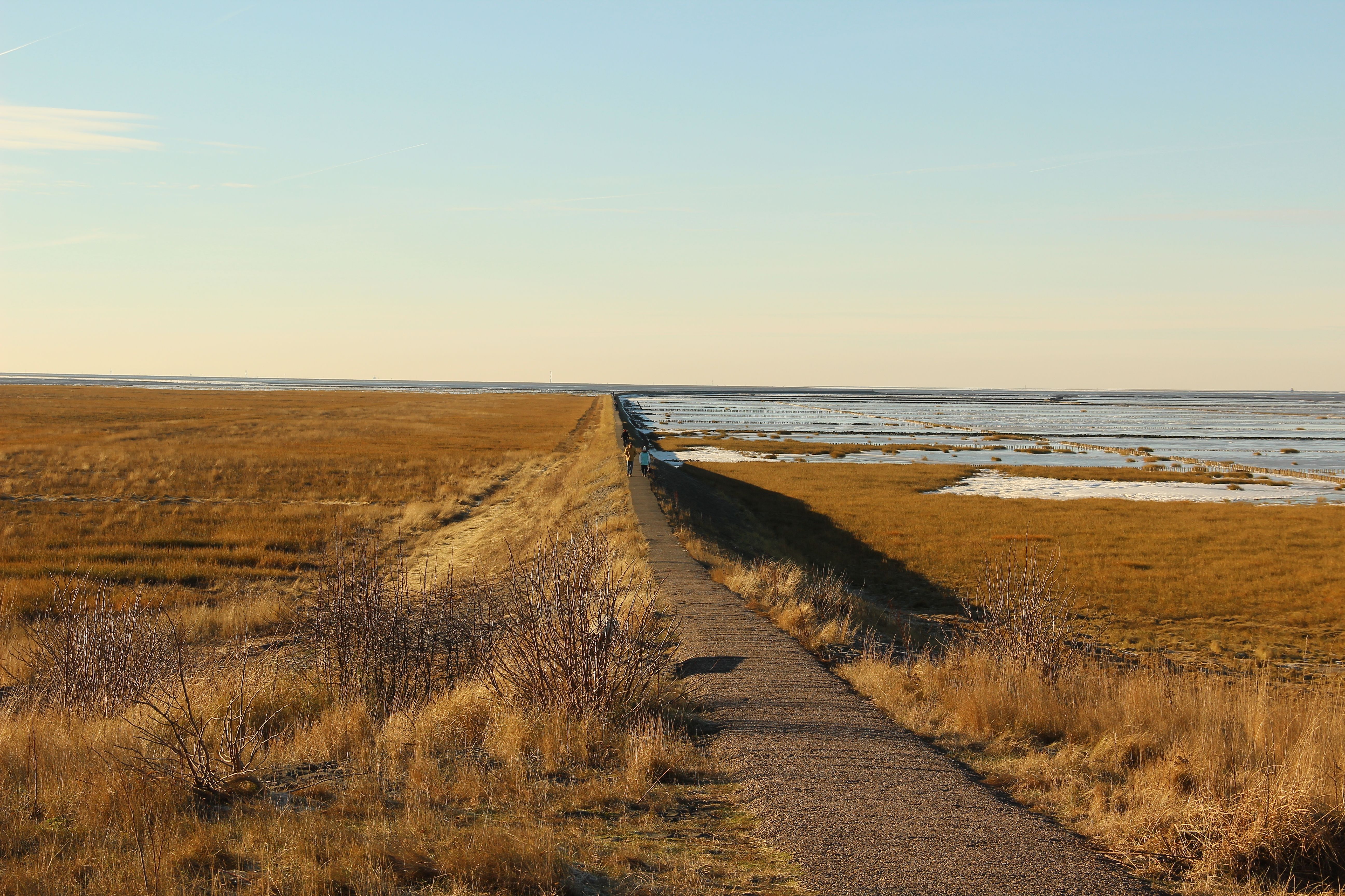 Der Trischendamm vor Friedrichskoog