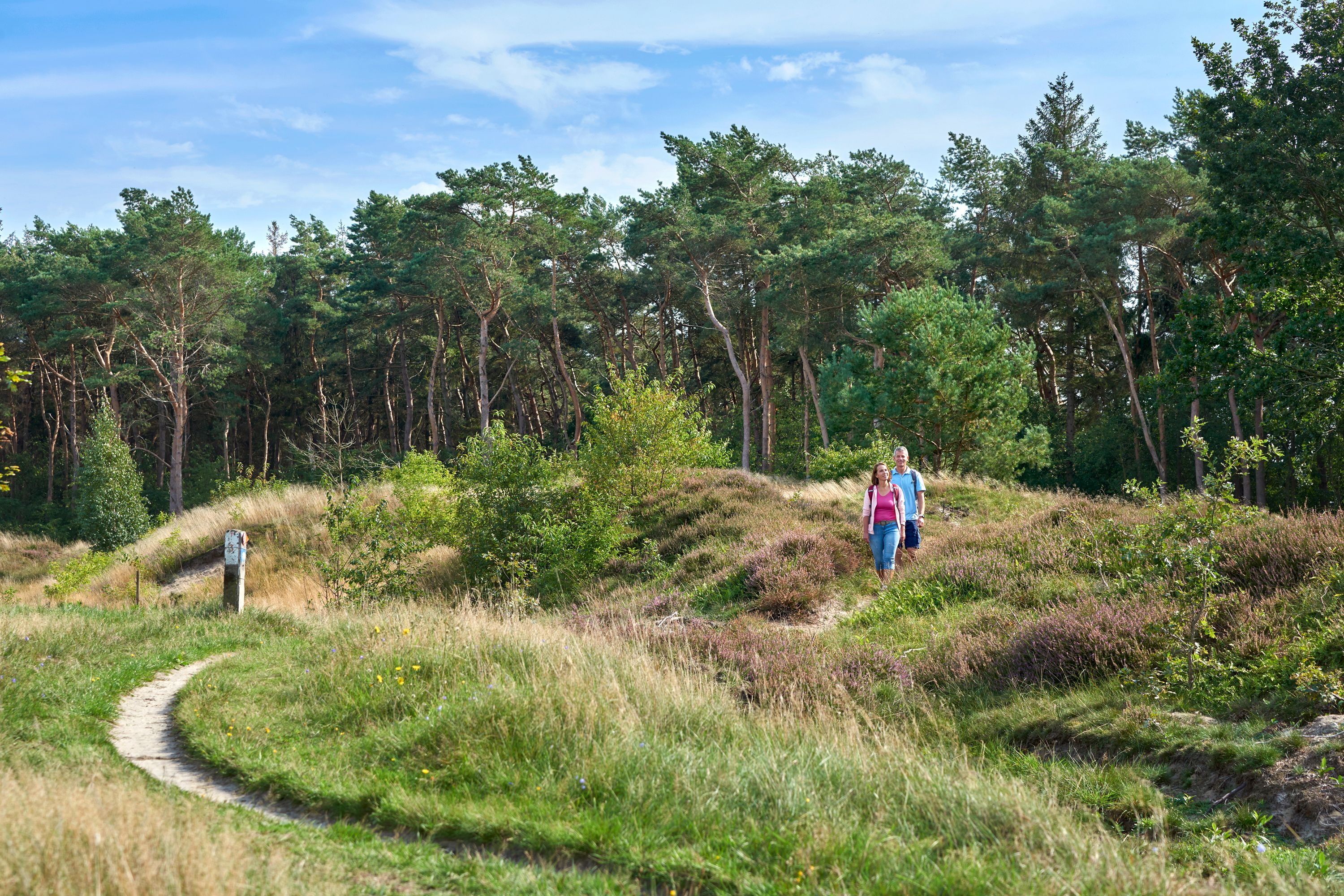 Zwei Personen wandern durch das Donner Kleve in Dithmarschen