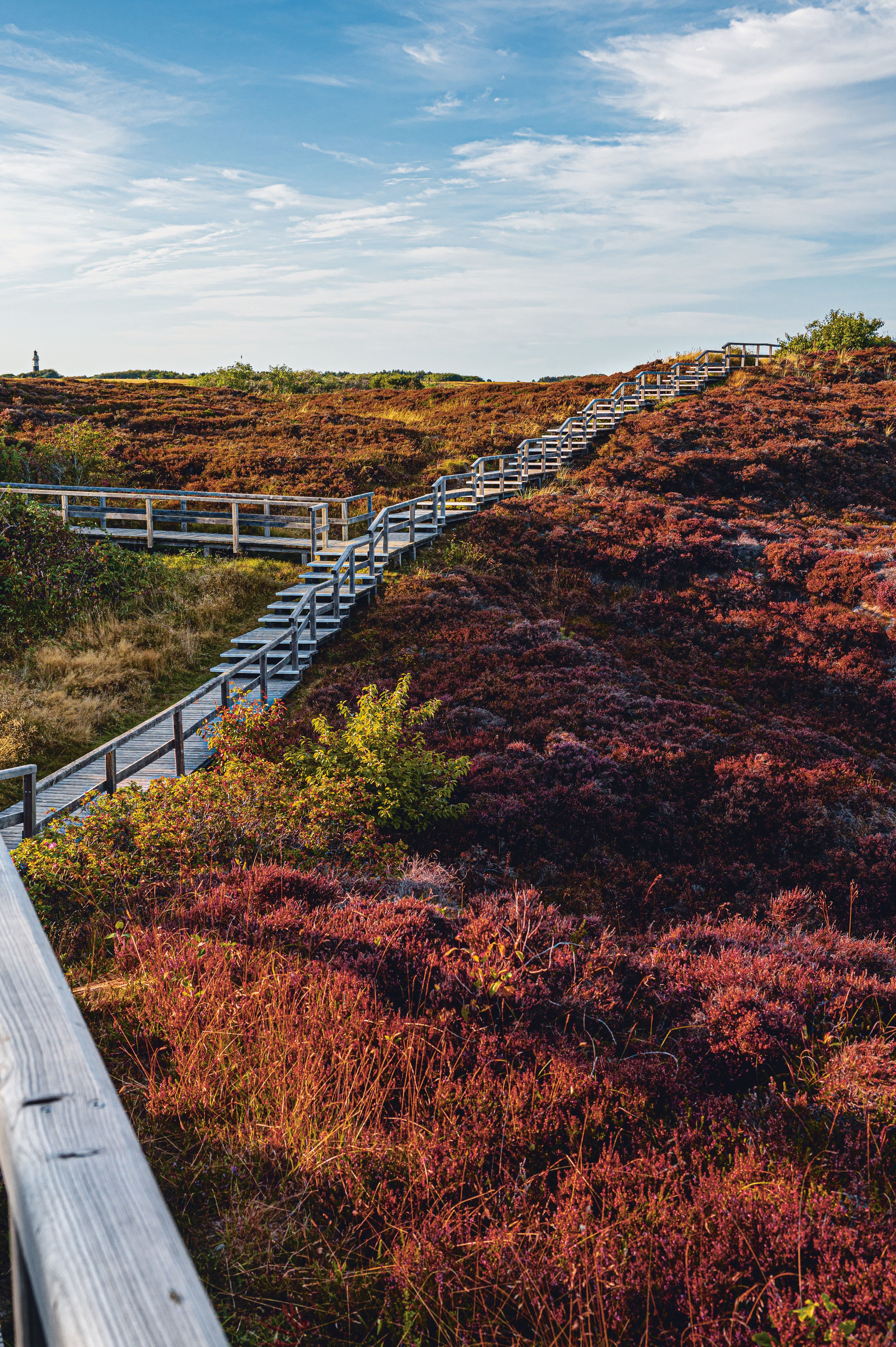 Holzsteg in der Braderuper Heide