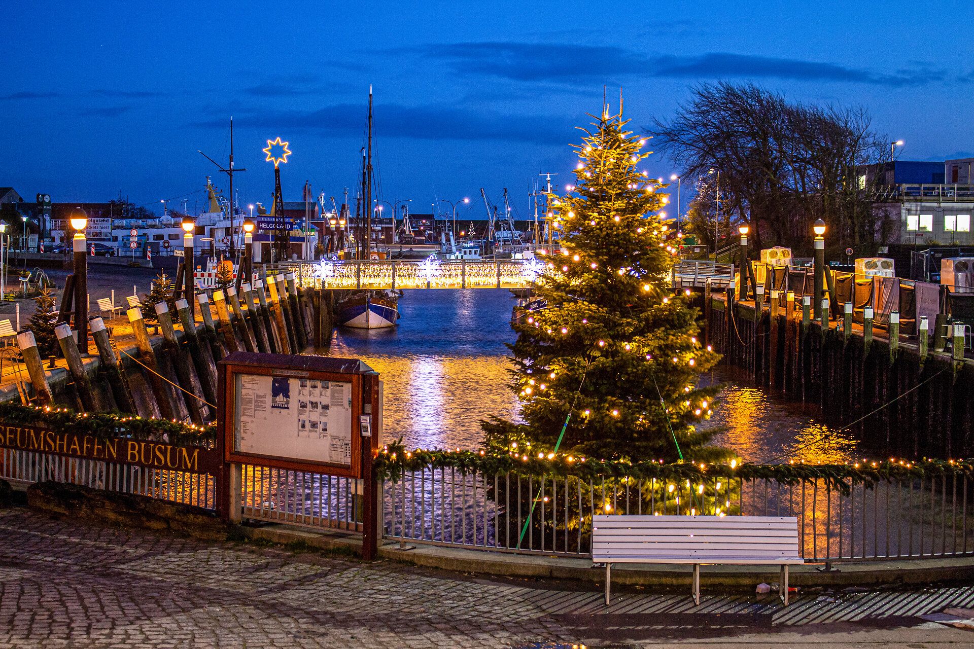 Der festlich geschmückte Museumshafen mit beleuchtetem Tannenbaum in der Abendstimmung.