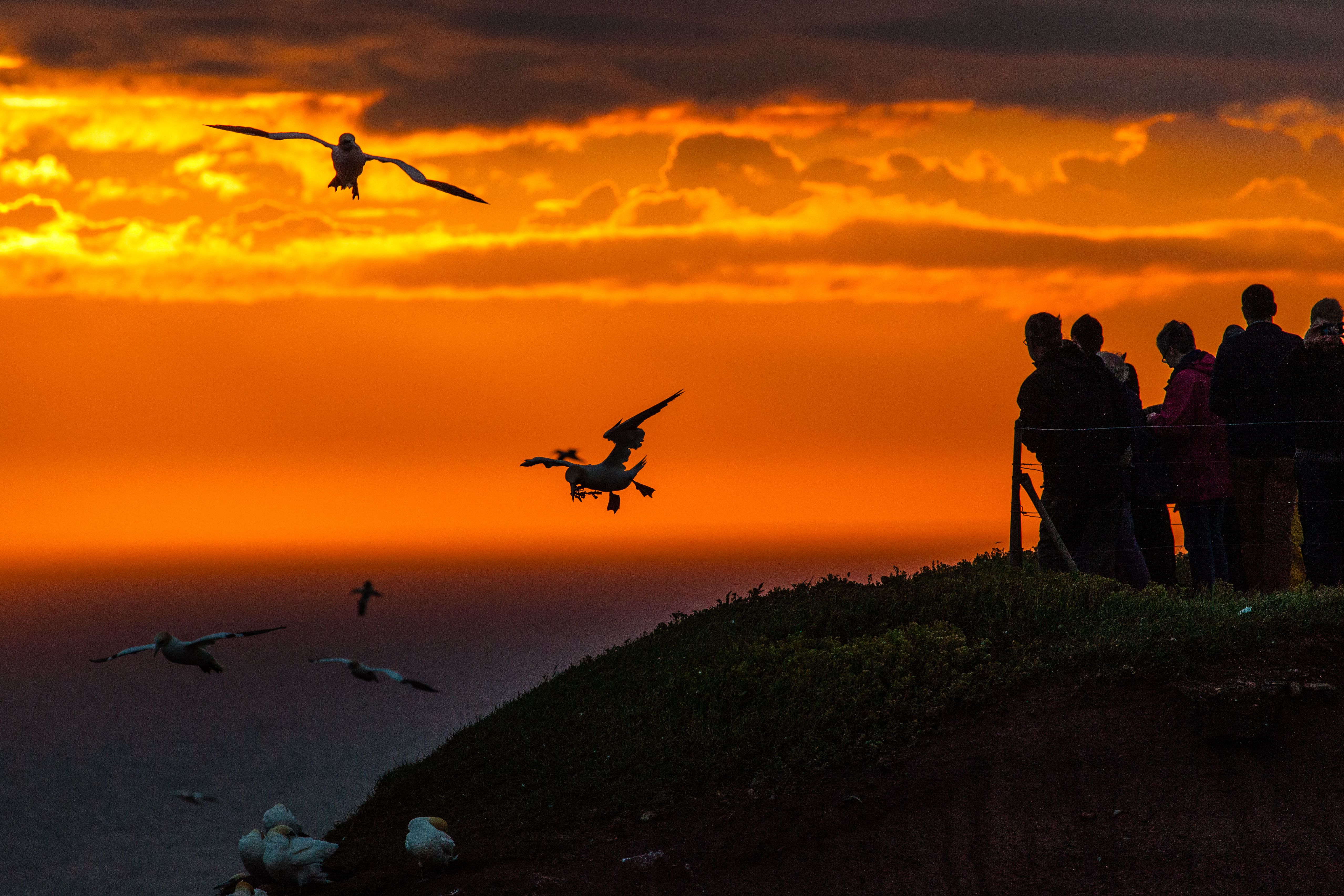 Personen schauen den Sonnenuntergang vom Lummenfelsen an