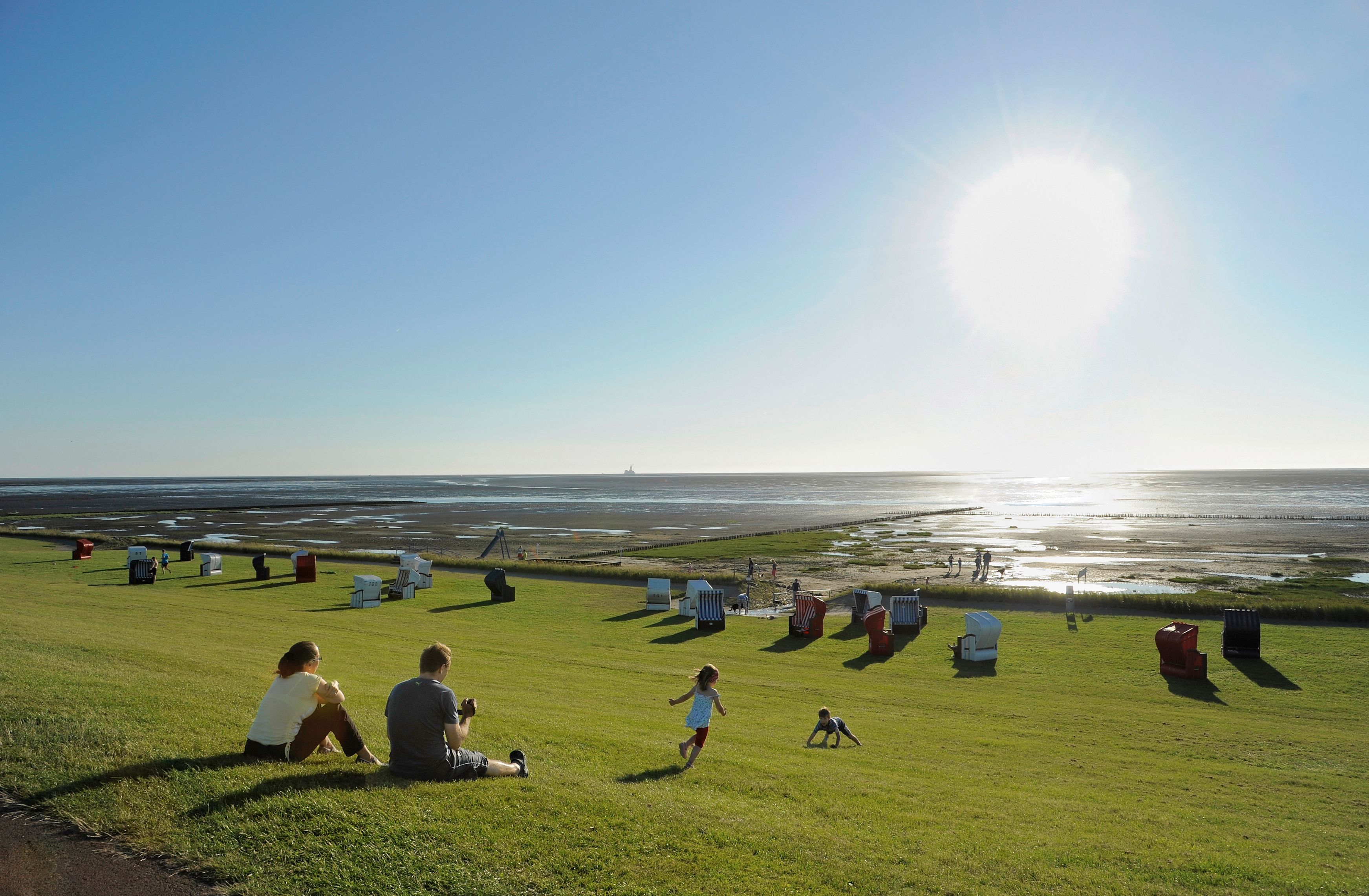 Grünstrand Friedrichskoog-Spitze