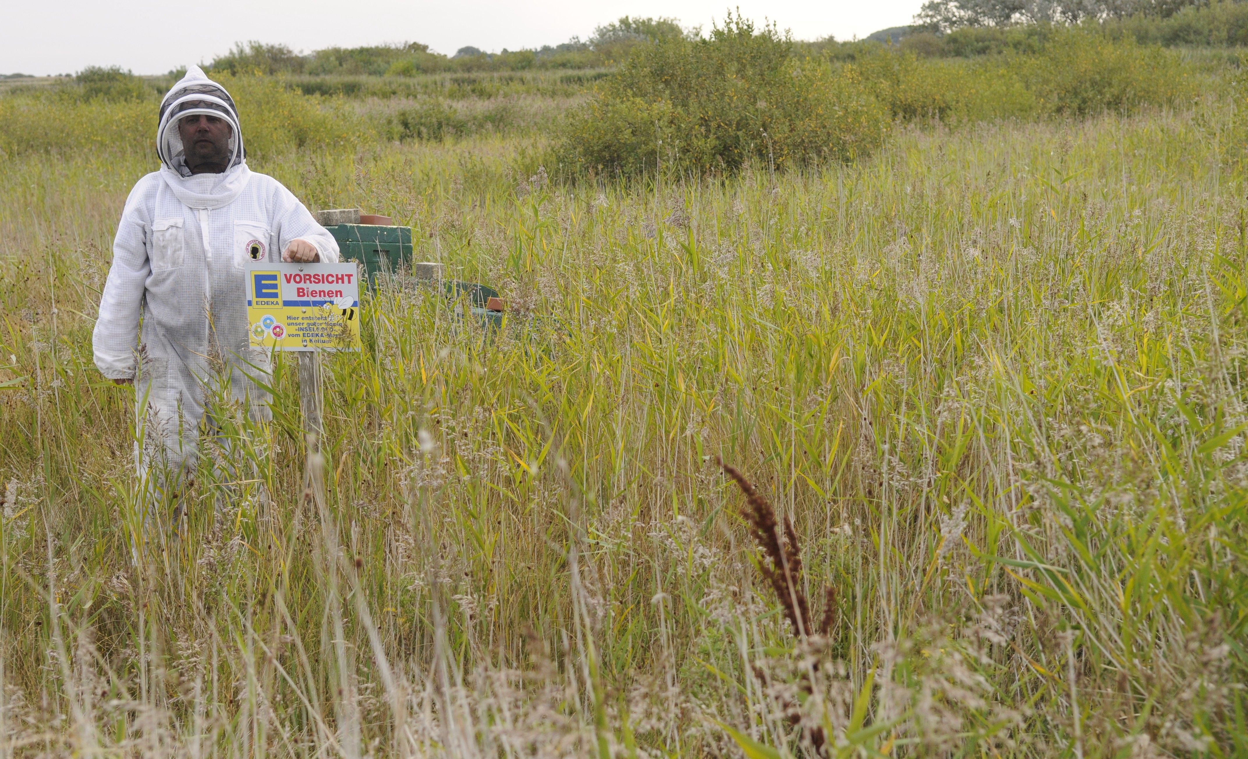 Auf dem Rückweg vom Bienenstock im schützenden Imkeranzug mit guter "Beute". Foto: Sylt Marketing