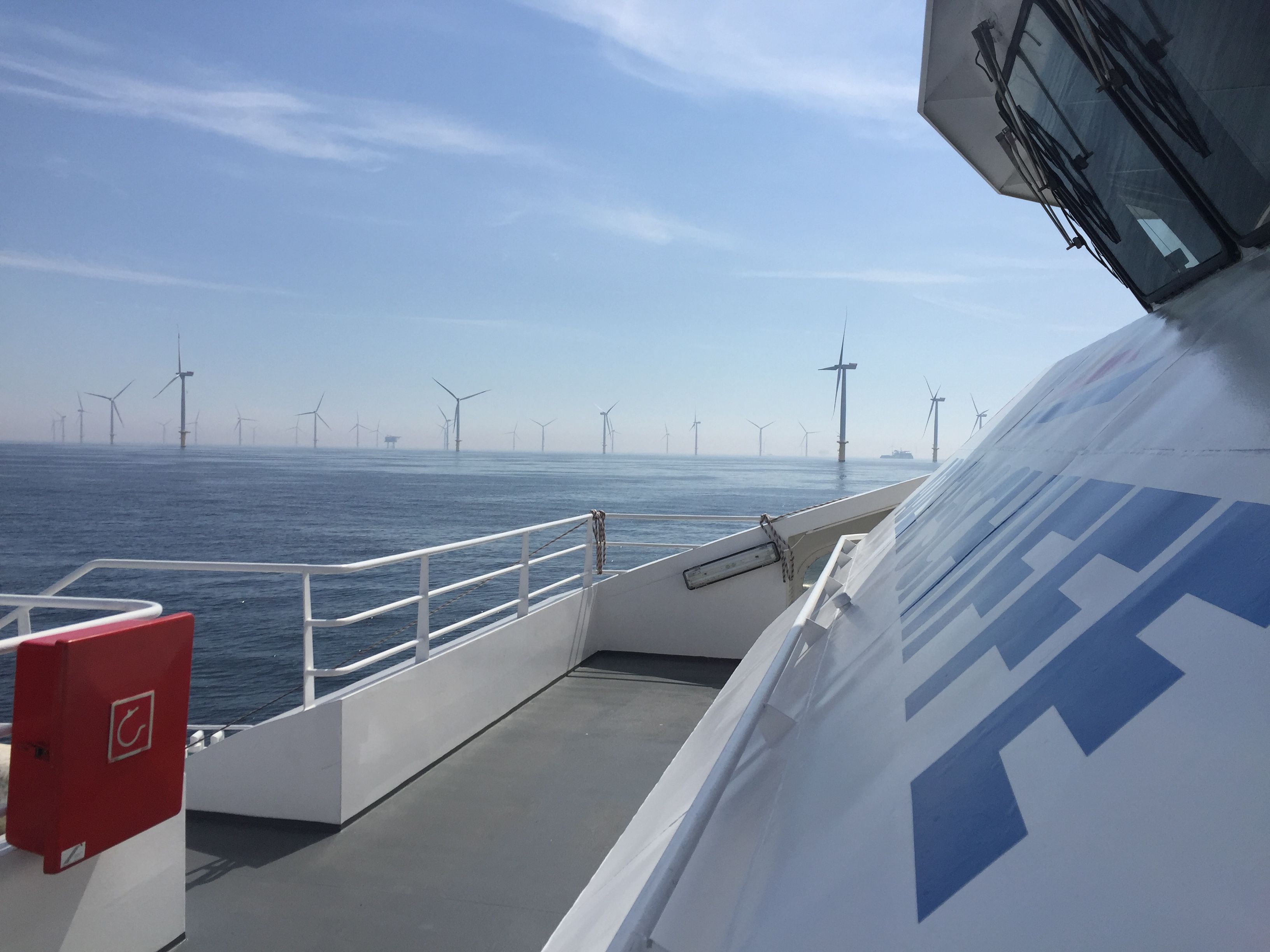 Blick auf einen Windpark von der MS Adler Cat
