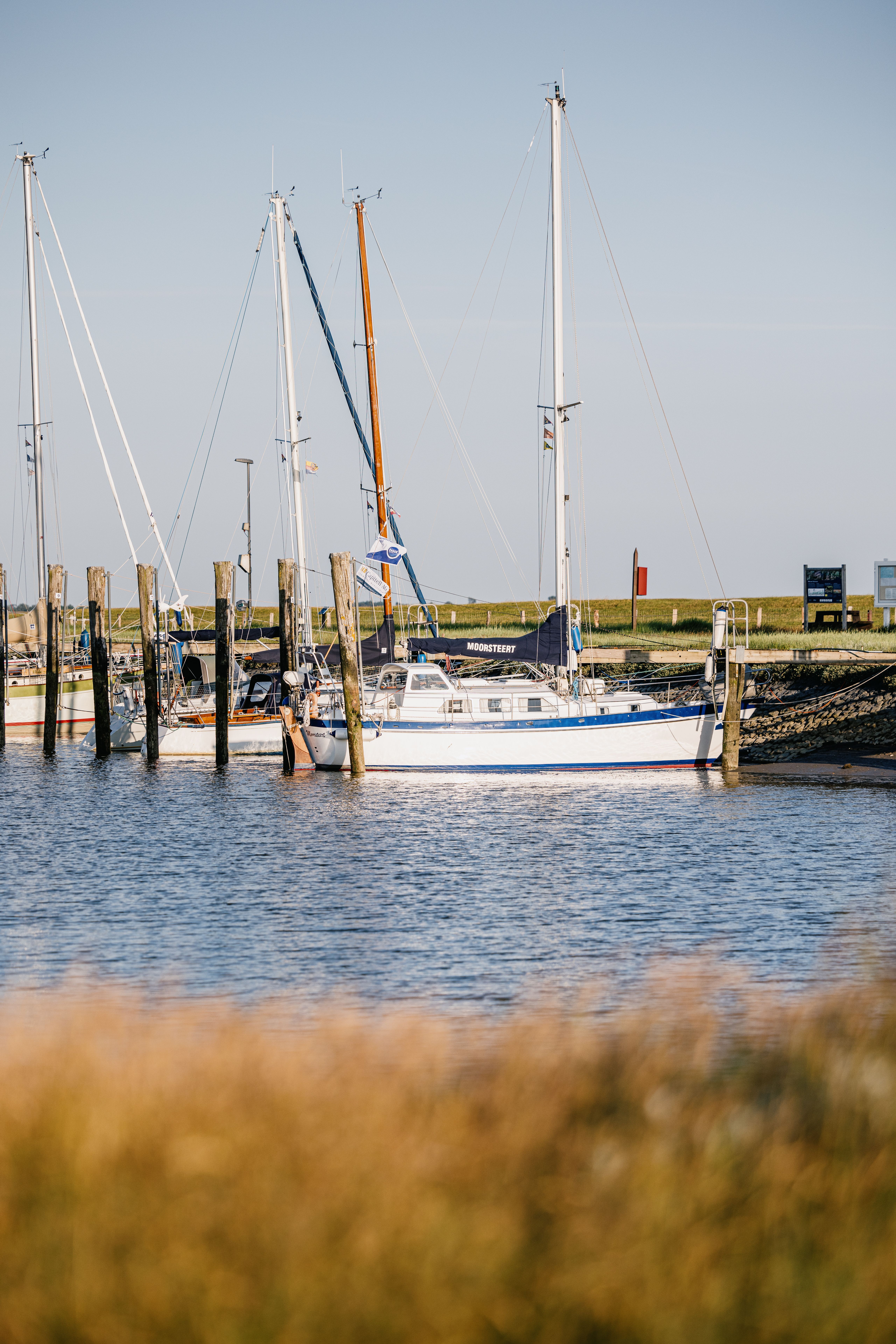 Nordfriesland_Nordstrand_MR_230614_252