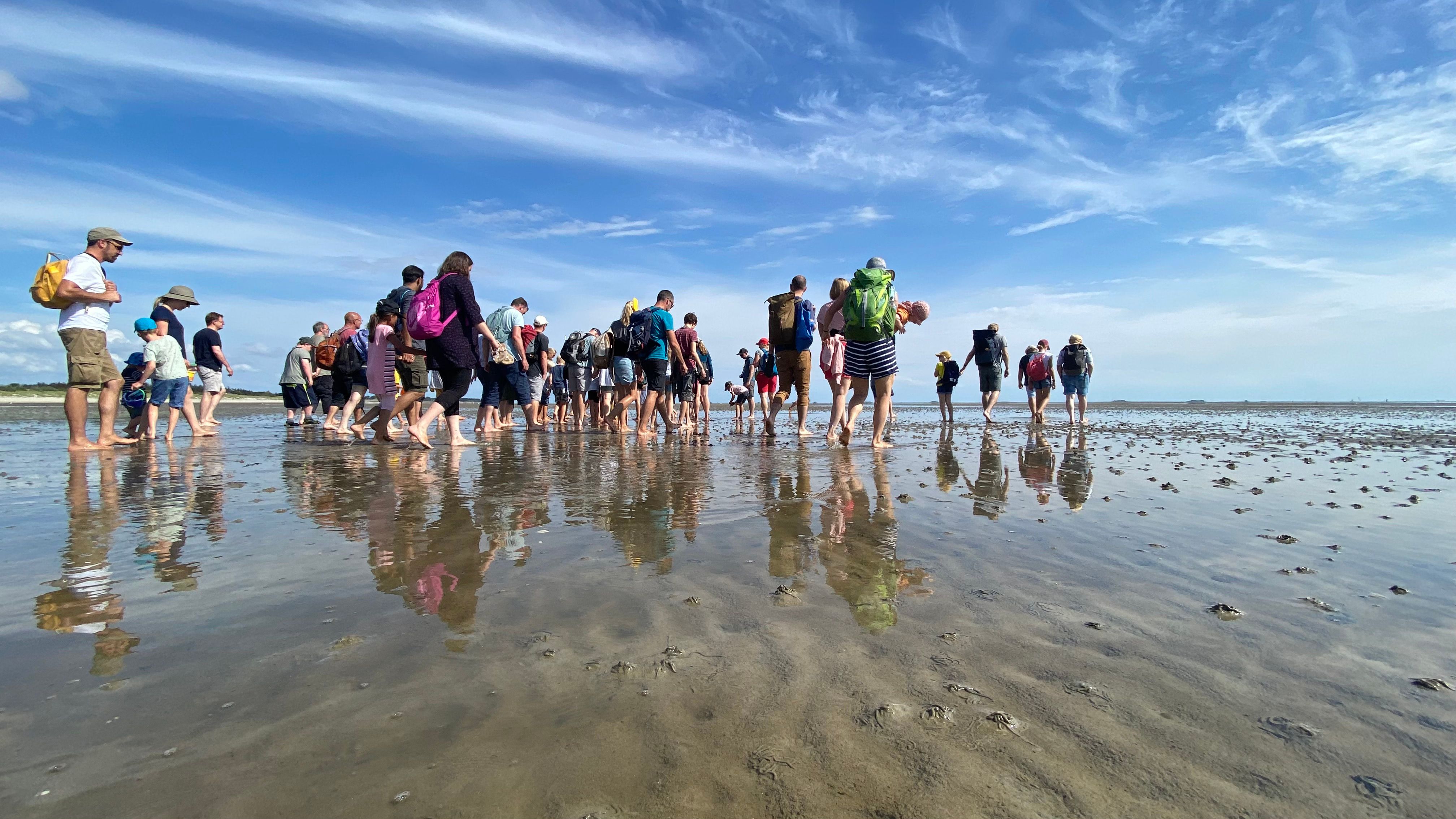 Eine große Gruppe nimmt bei schönem Wetter an einer Wattwanderung bei Nieblum teil. - Foto: Föhr Tourismus GmbH/Anna Preißler