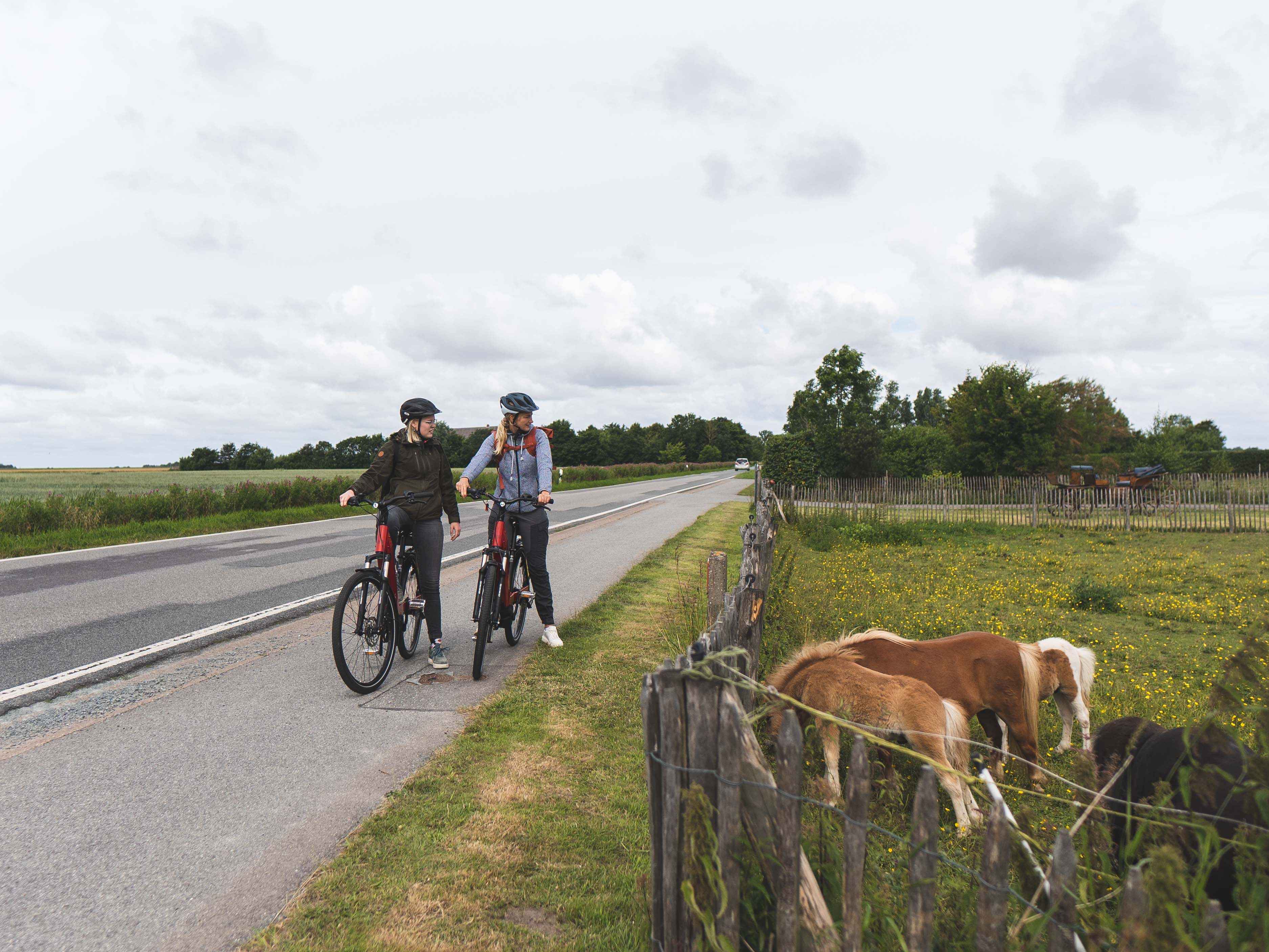 Radtour an Ponys entlang