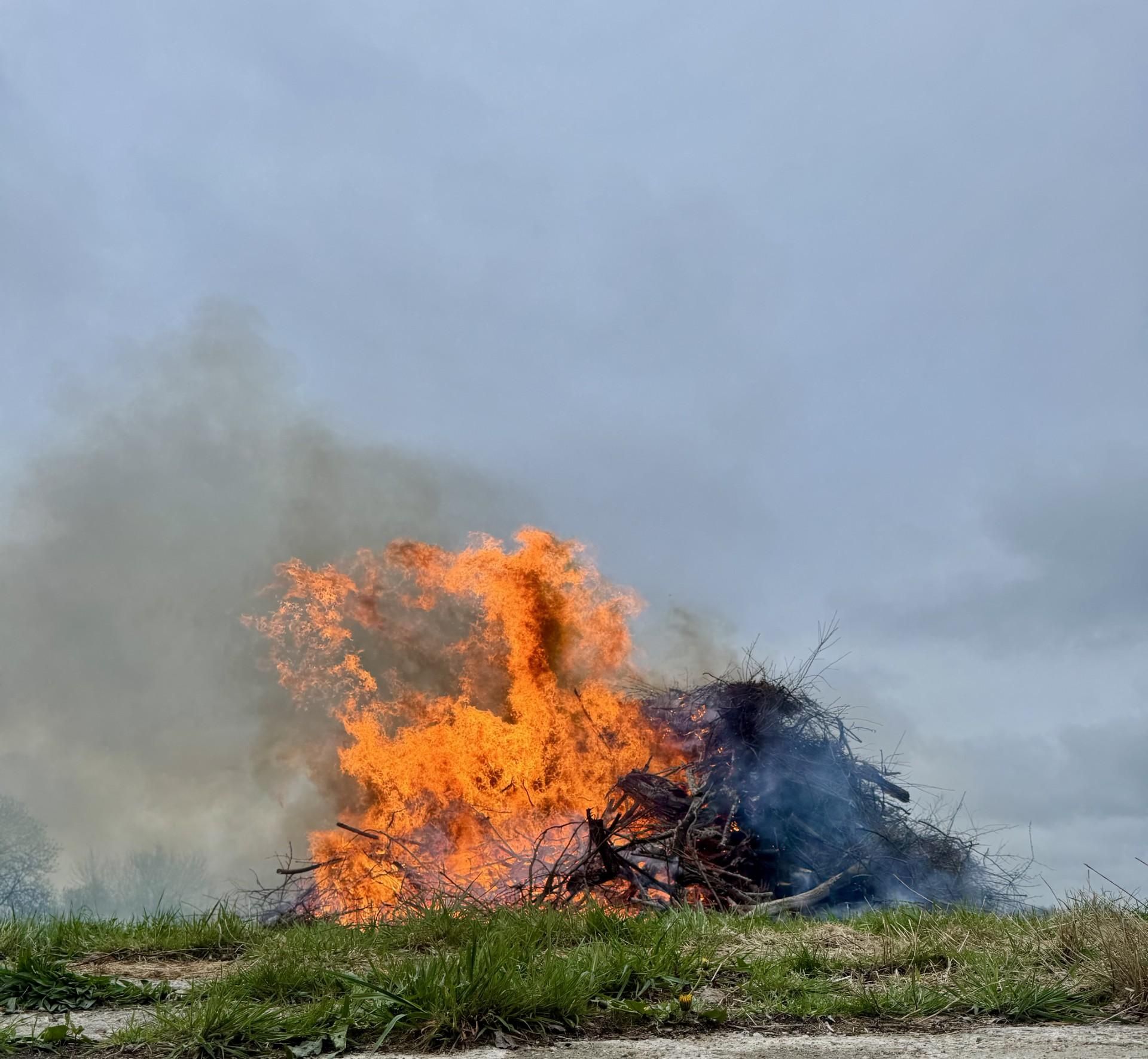 Ein großer Reisighaufen brennt als Osterfeuer auf einer grünen Wiese.