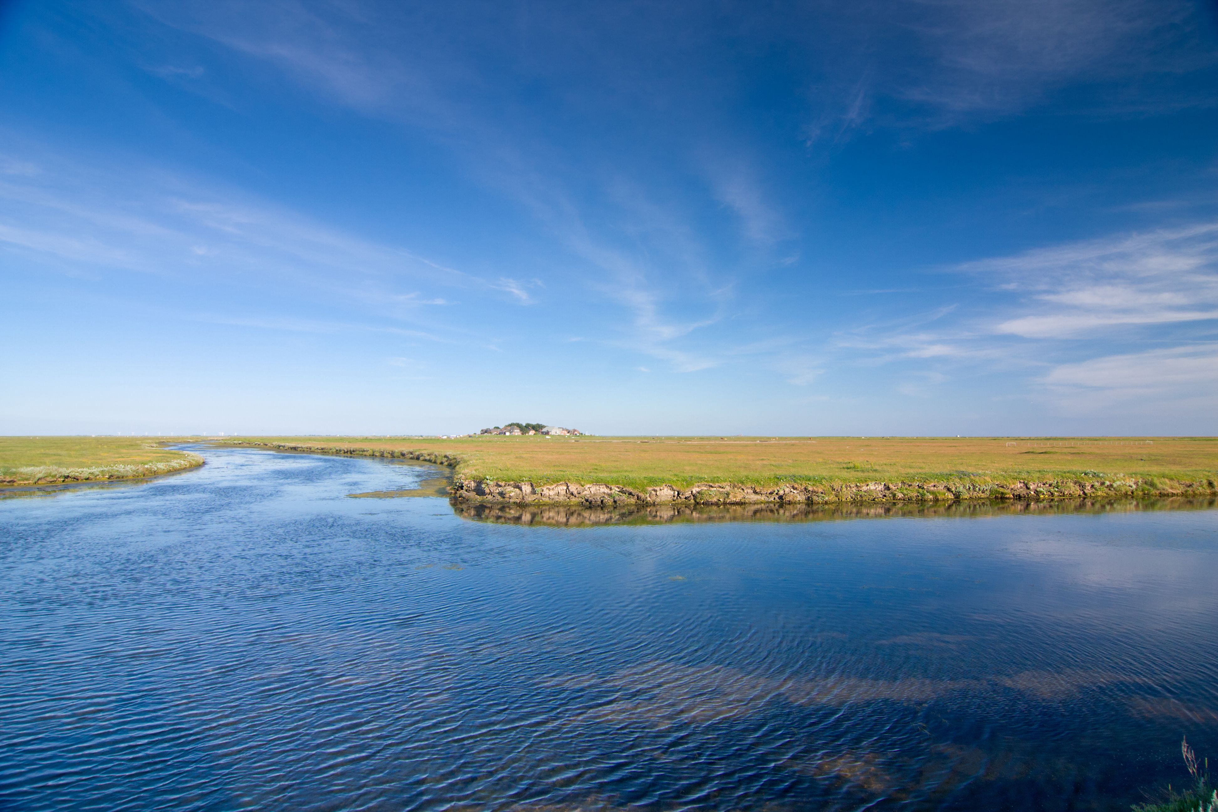 Blick auf Hallig Hoofge, im Hintergrund steht ein Haus auf einer Warft