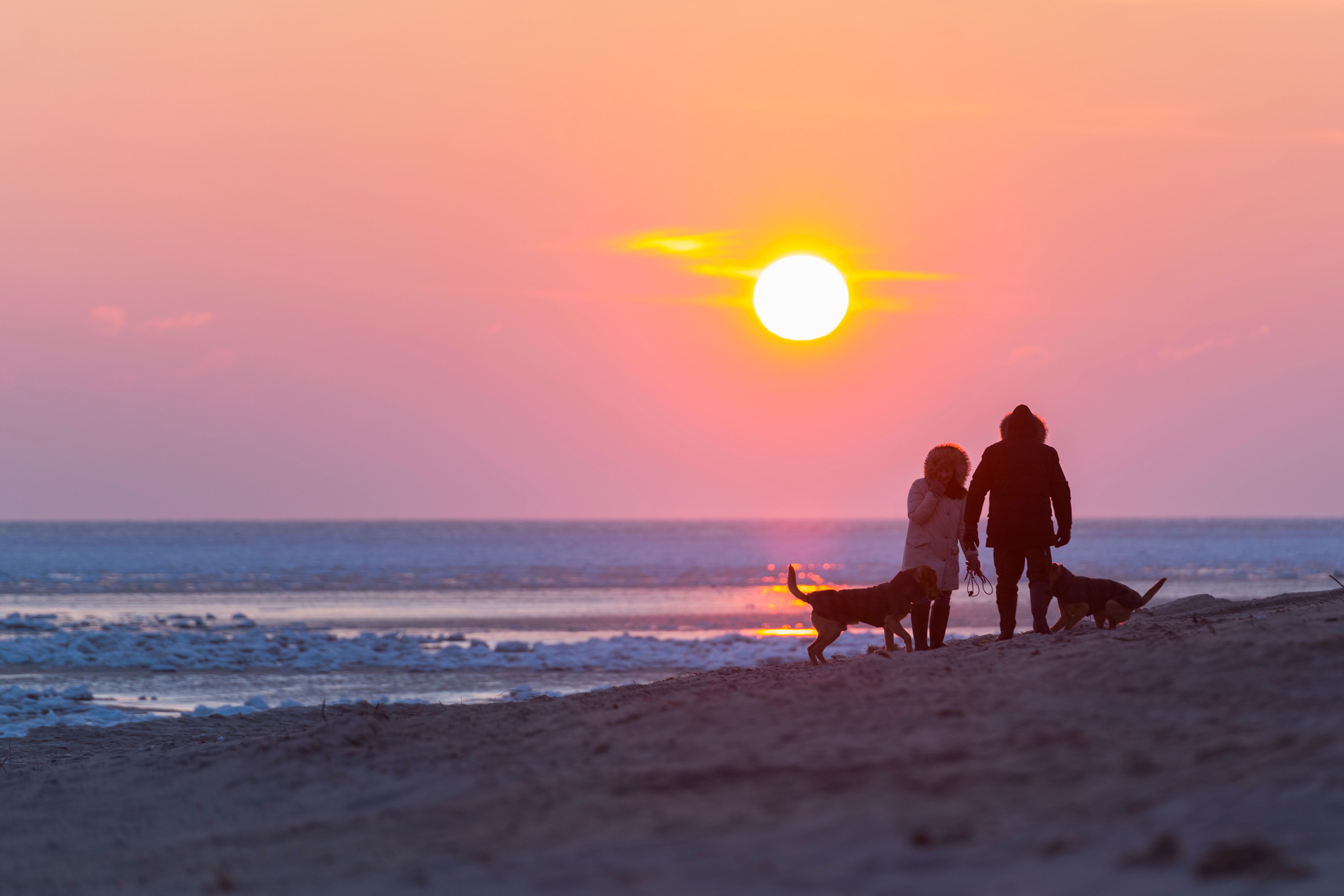 Pärchen mit Hunden spielen im winterlichen Sonnenuntergang am Strand von Hörnum