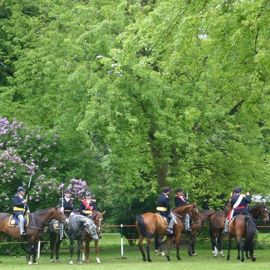 Das traditionelle Ringreiten in Husum