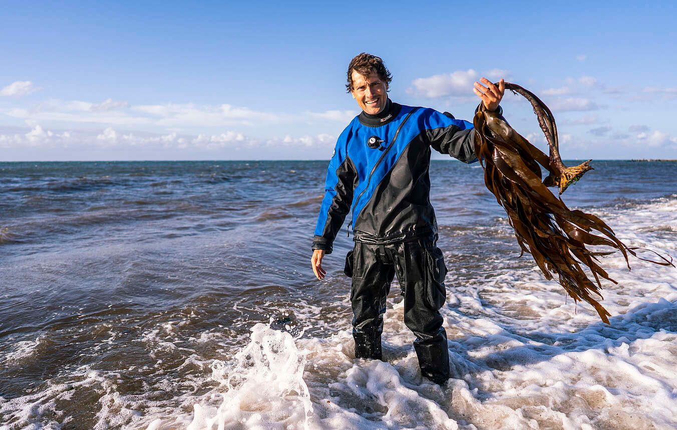 Der Terra-X Moderator Uli Kunz steht in einem blau-schwarzen Taucheranzug im Wasser am Strand und hält Seetang in der Hand