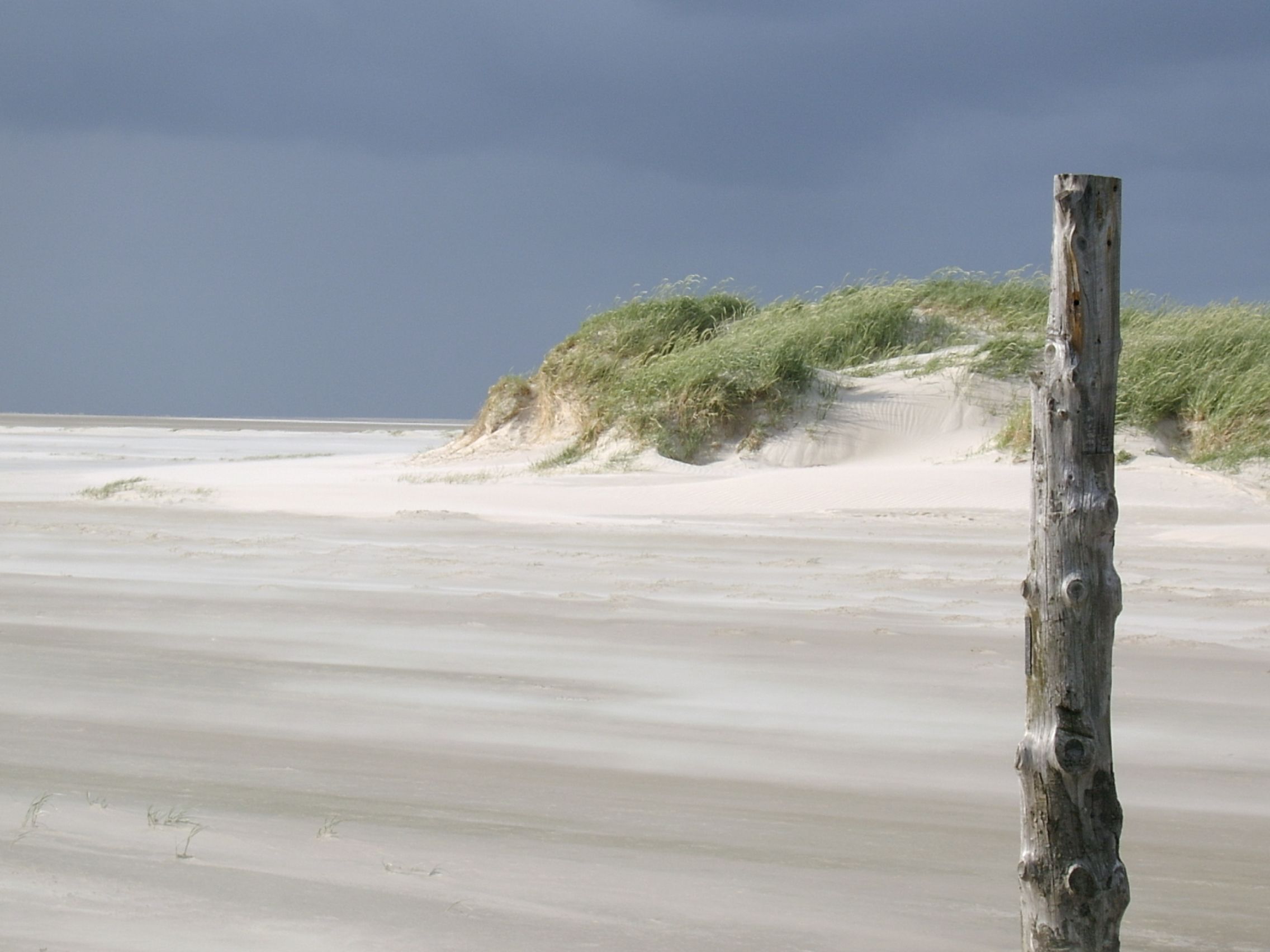 Sanddünen an einem sonnigen FKK-Strand an der Nordsee.